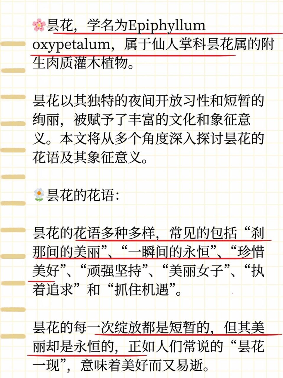 昙花的花语和象征意义  94昙花,学名是 epiphyllum oxypetalum