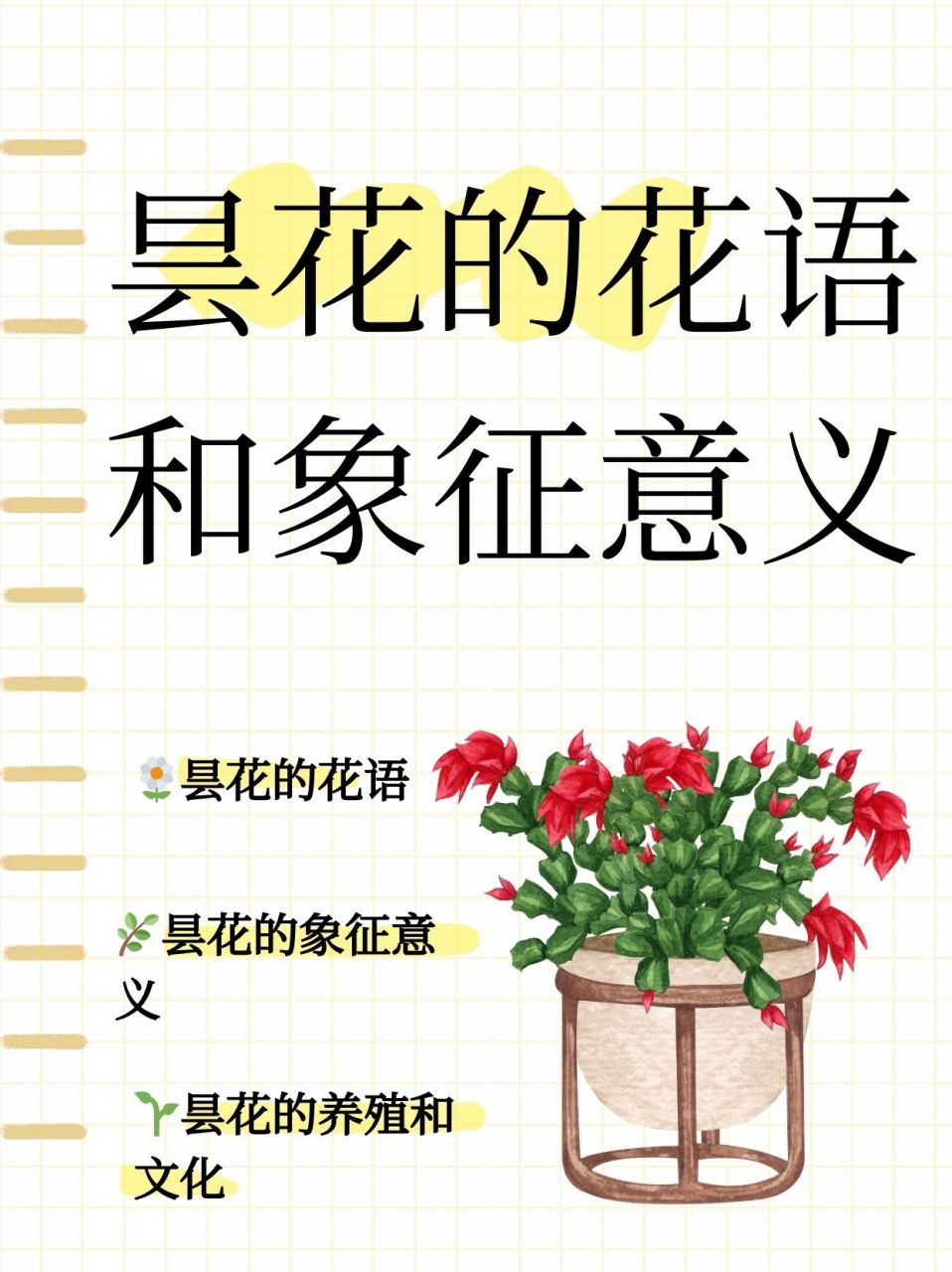 昙花一现 比喻图片