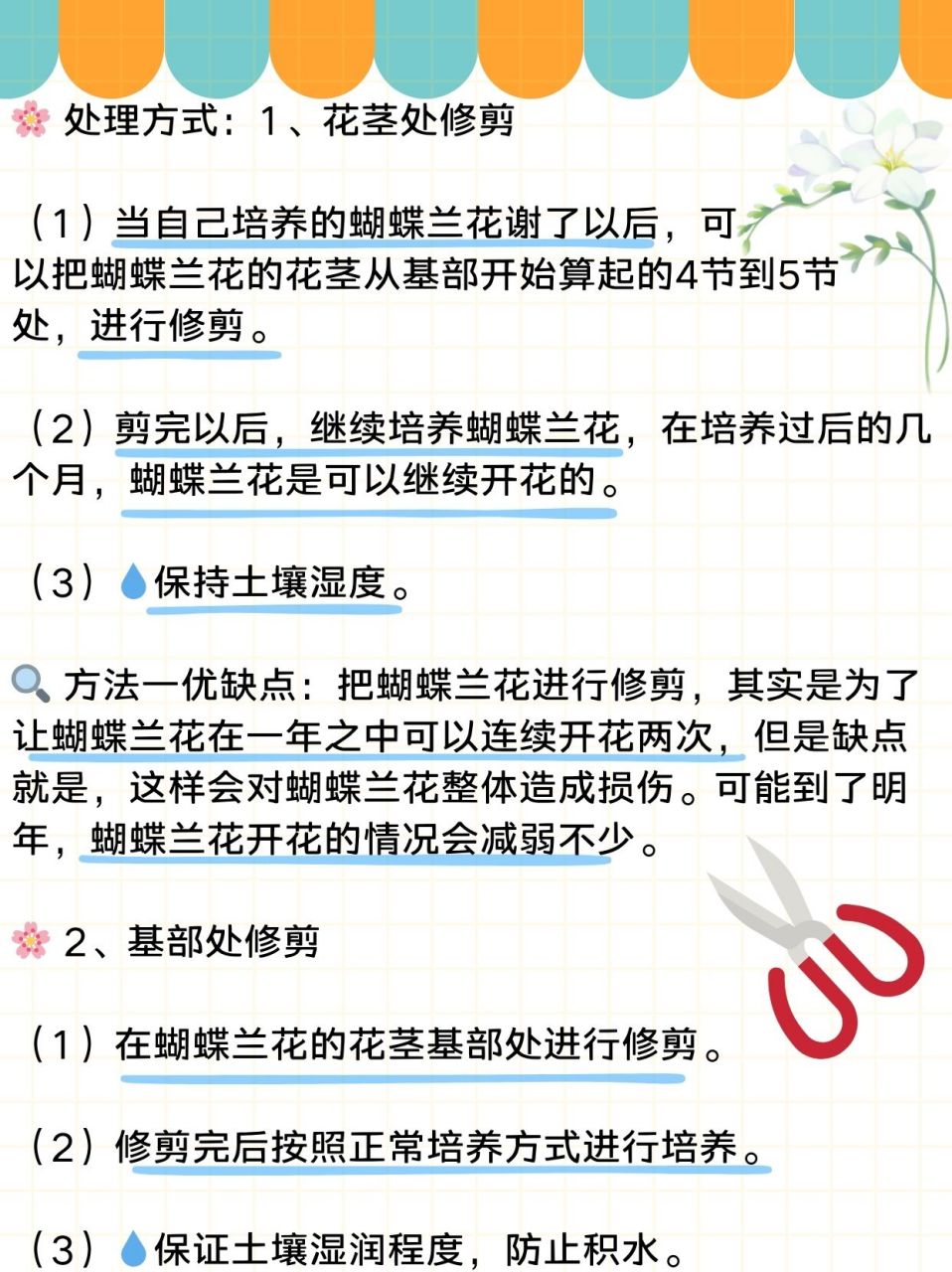 蝴蝶兰花谢后花杆怎么处理  98 蝴蝶兰重生秘籍:两种修剪大法 99