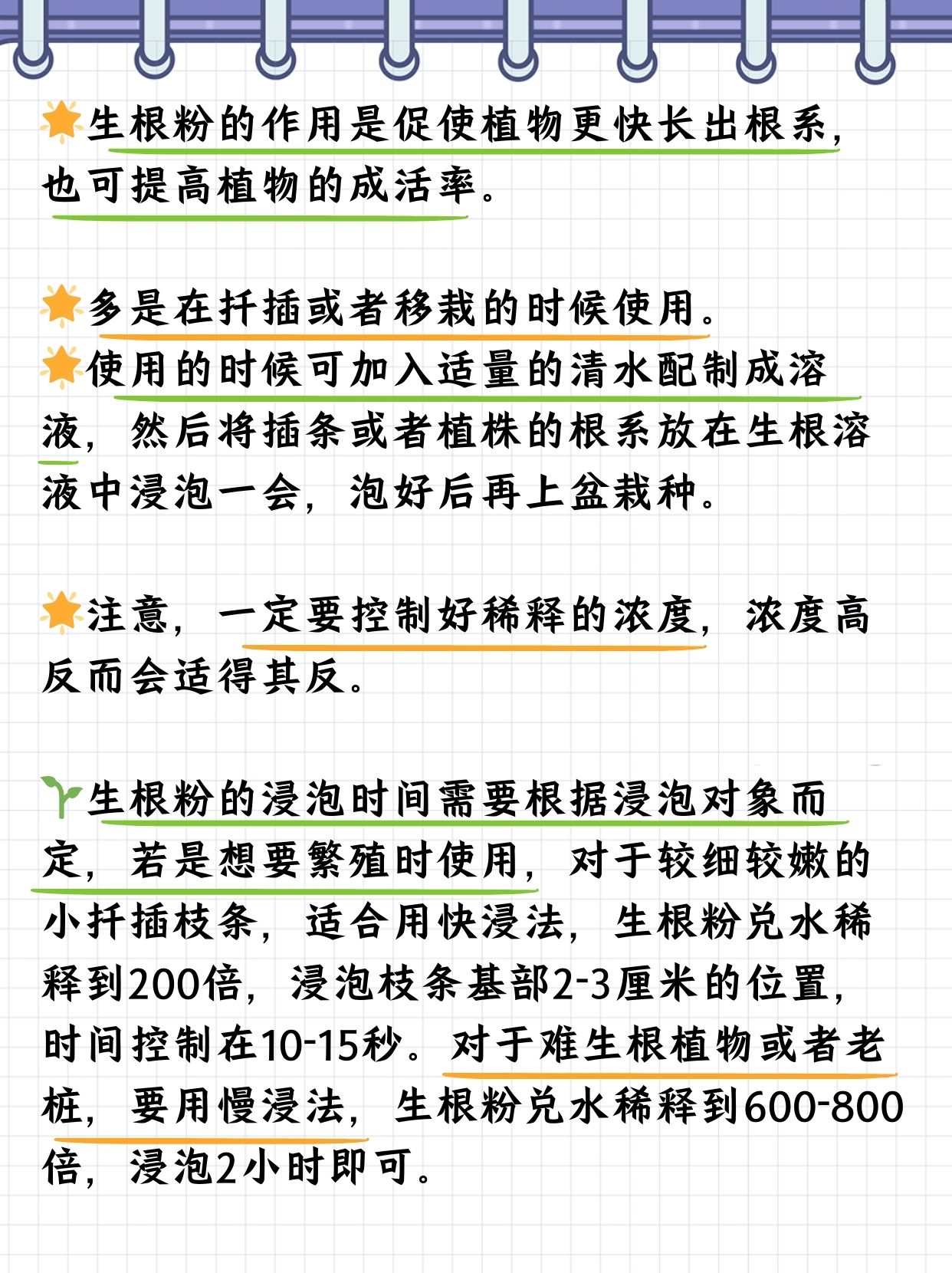 那就不得不提我们的超级英雄——生根粉啦!