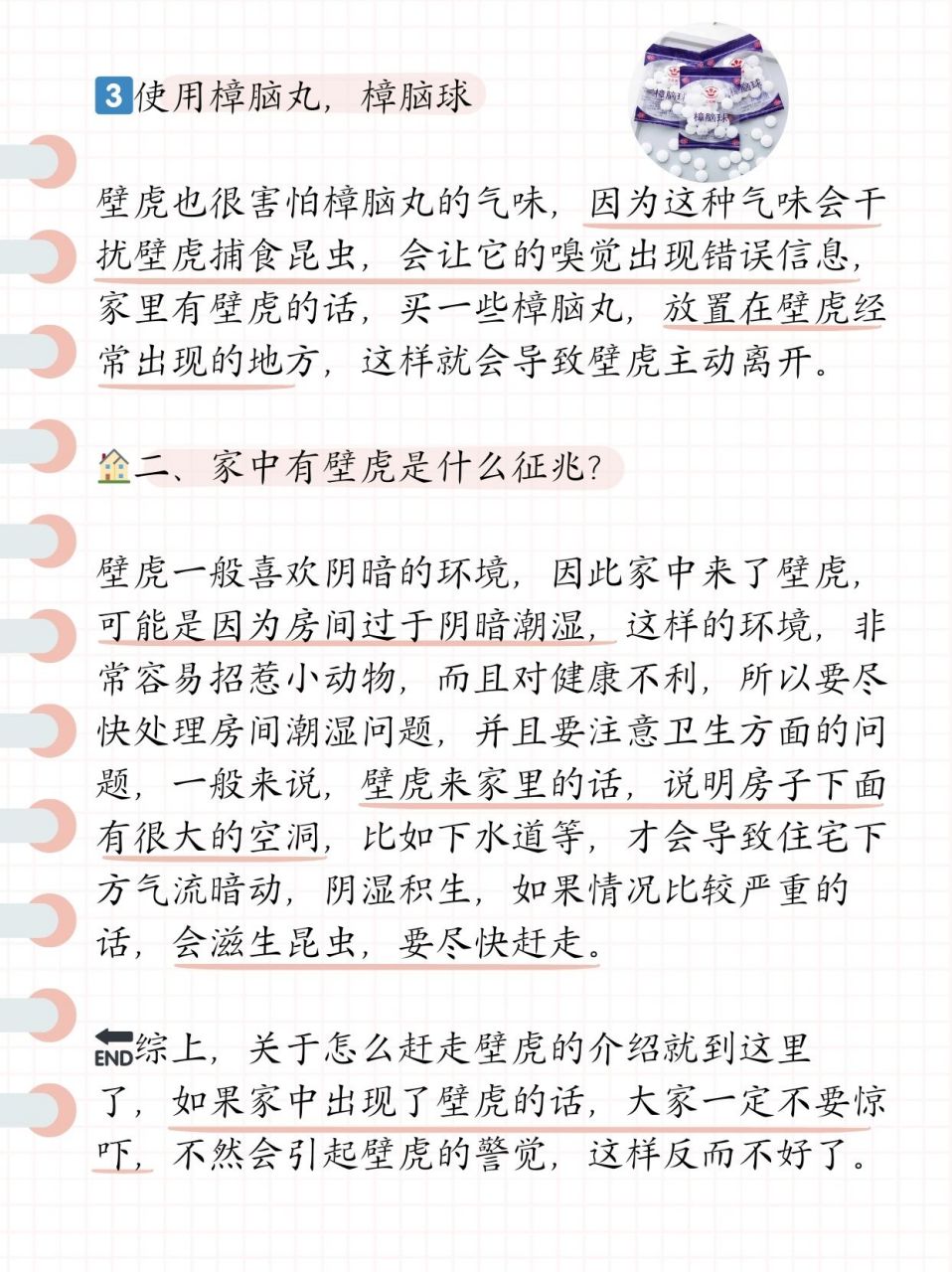 家里进了壁虎怎么办图片