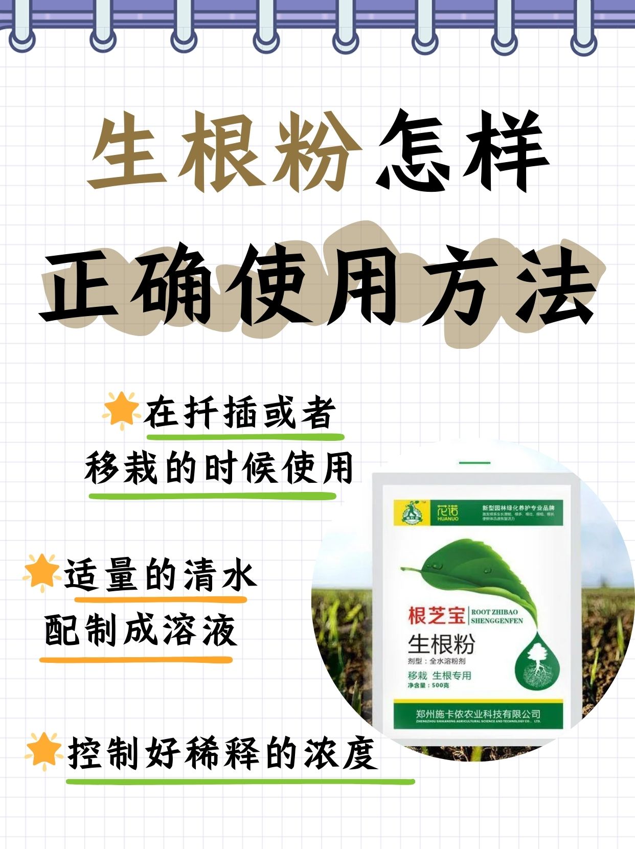 那就不得不提我们的超级英雄——生根粉啦!