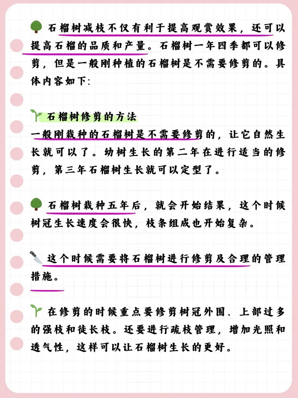 想要石榴树既赏心悦目又硕果累累?减枝是关键!