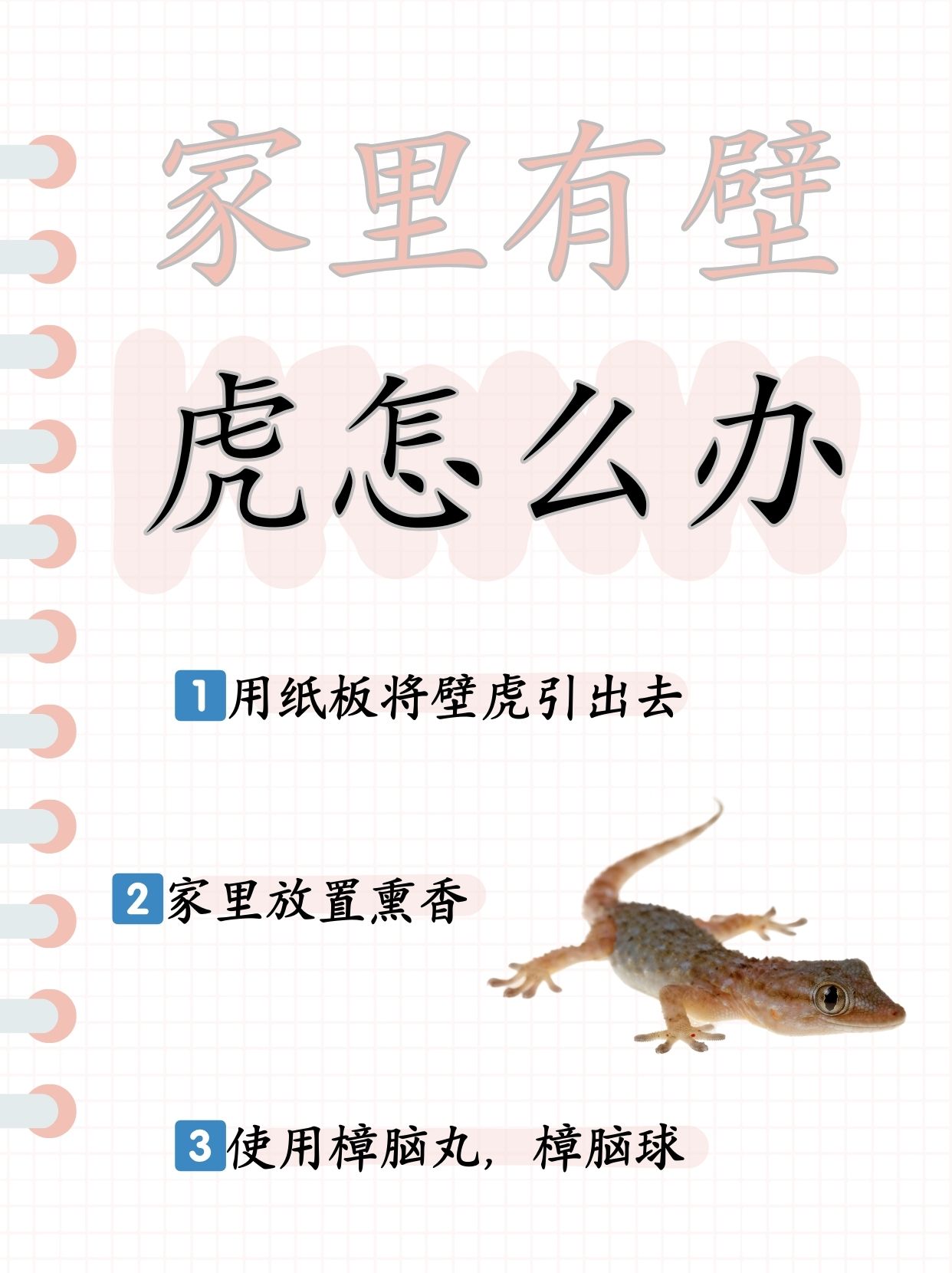 为什么壁虎能在墙上爬 为什么壁虎能在墙上爬