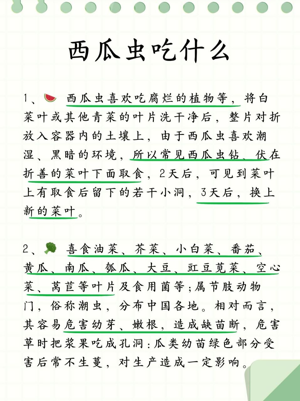 西瓜虫吃什么  1,91 西瓜虫,那位偏爱腐败盛宴的小家伙,对腐烂的
