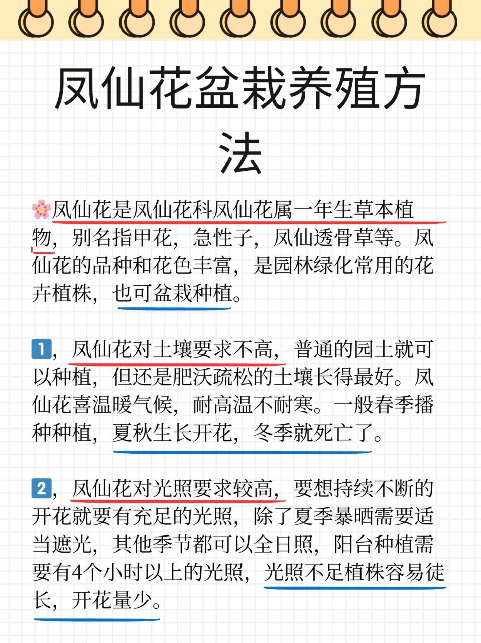 凤仙花盆栽养殖方法  94凤仙花属于凤仙花科凤仙花属的一年生草本