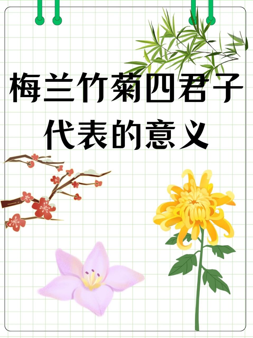 虚竹大干梅兰竹菊图片