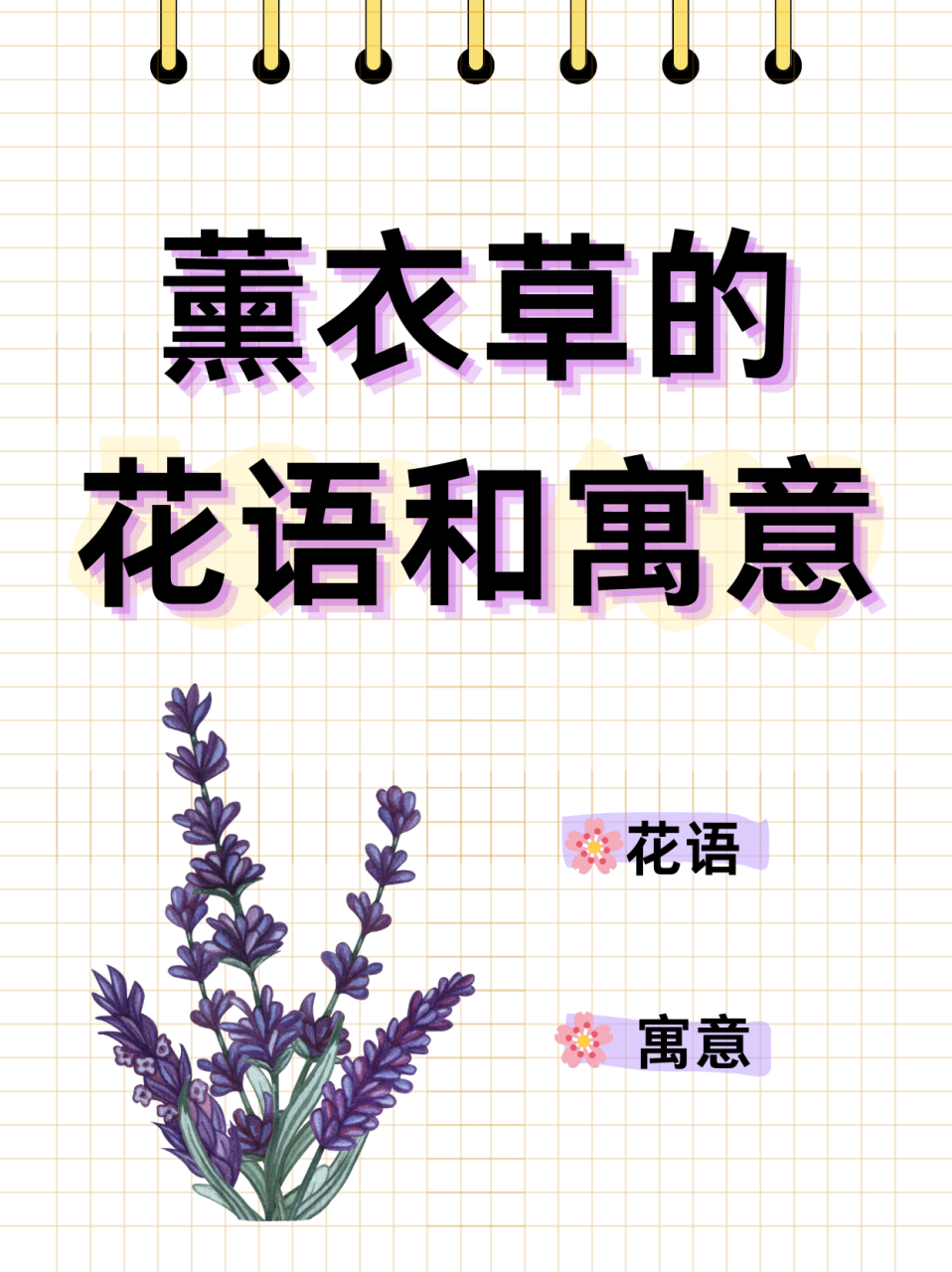 薰衣草的花语和寓意