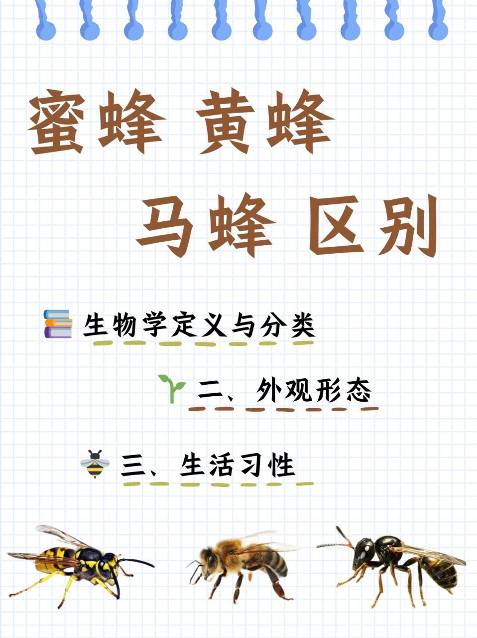 蜜蜂 黄蜂 马蜂 区别  92 一,生物学定义与分类 93 蜜蜂:亲,从