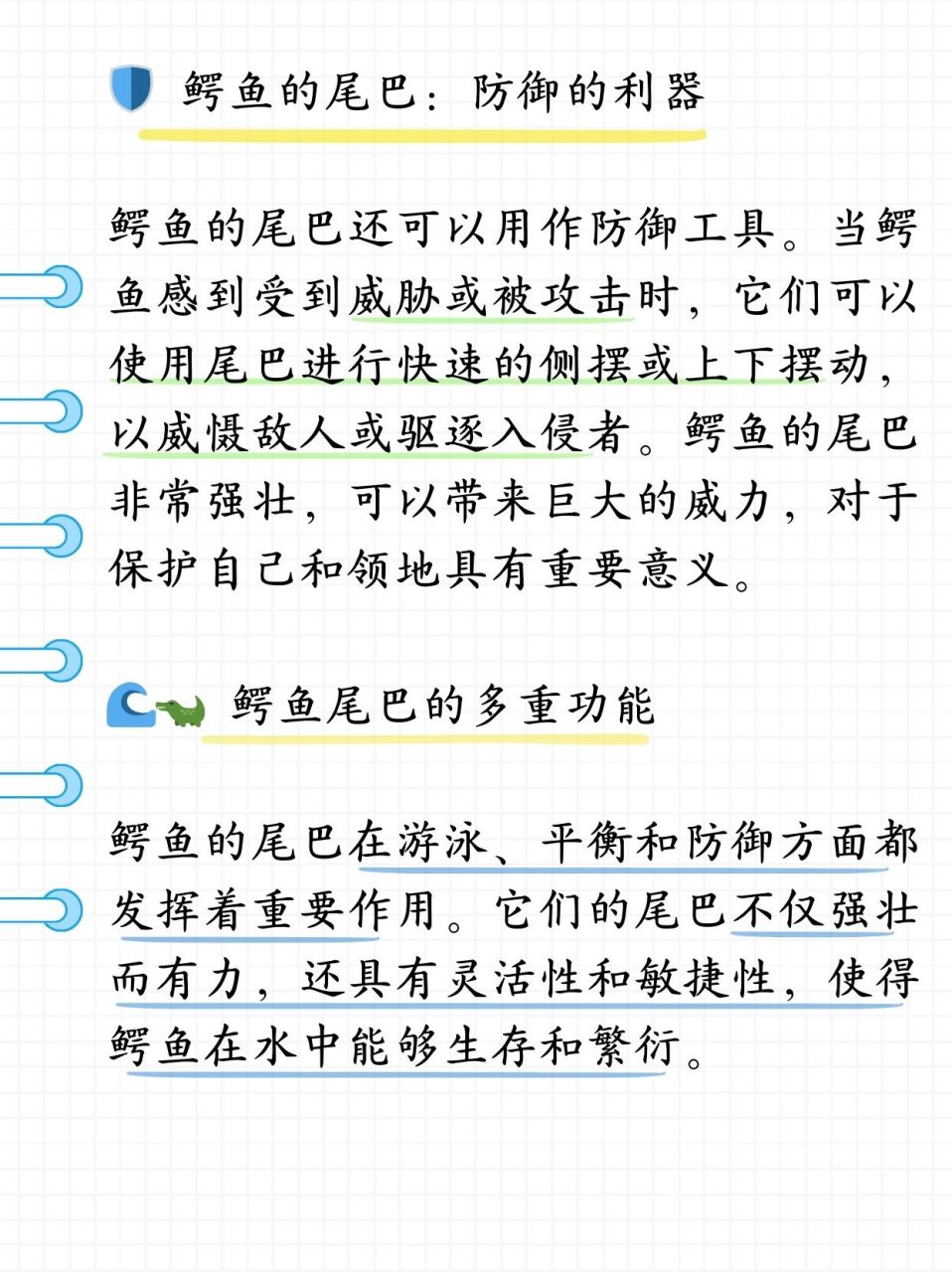 鳄鱼的尾巴有什么作用  昨天带儿子去动物园游玩,儿子看到鳄鱼的时候