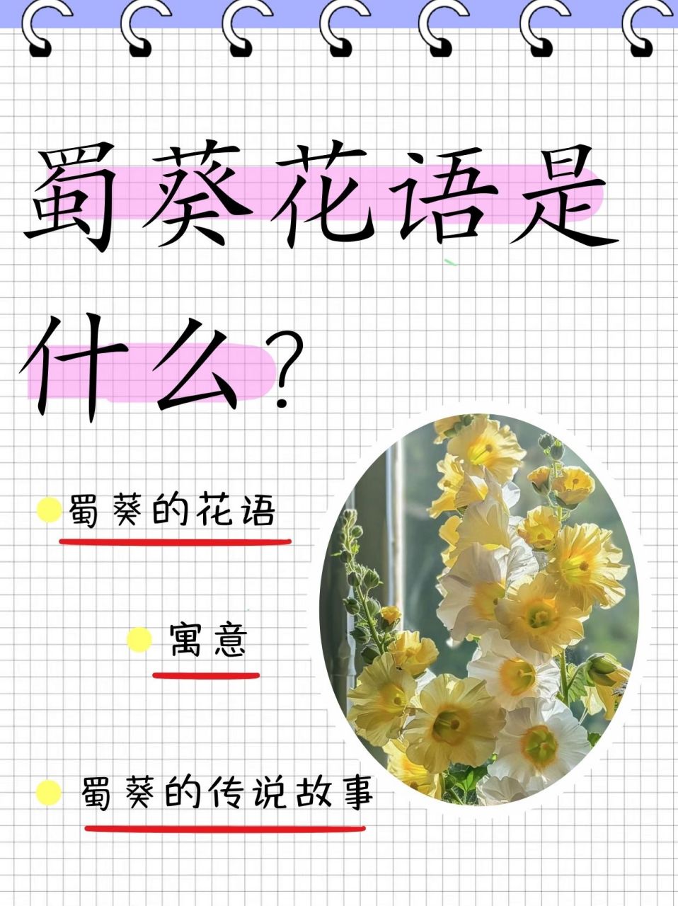94 一,蜀葵的花语