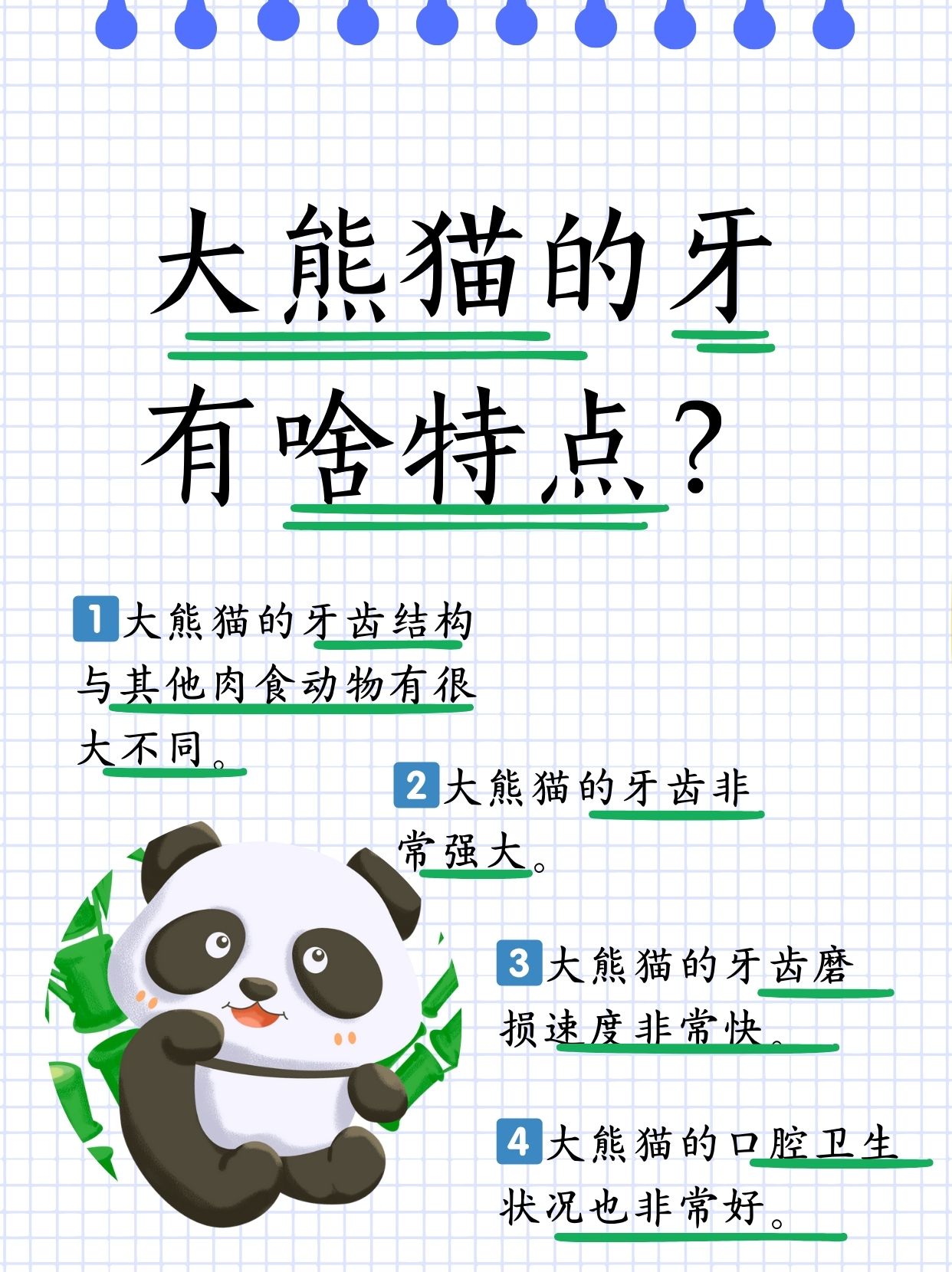 大熊猫的牙齿有什么特点