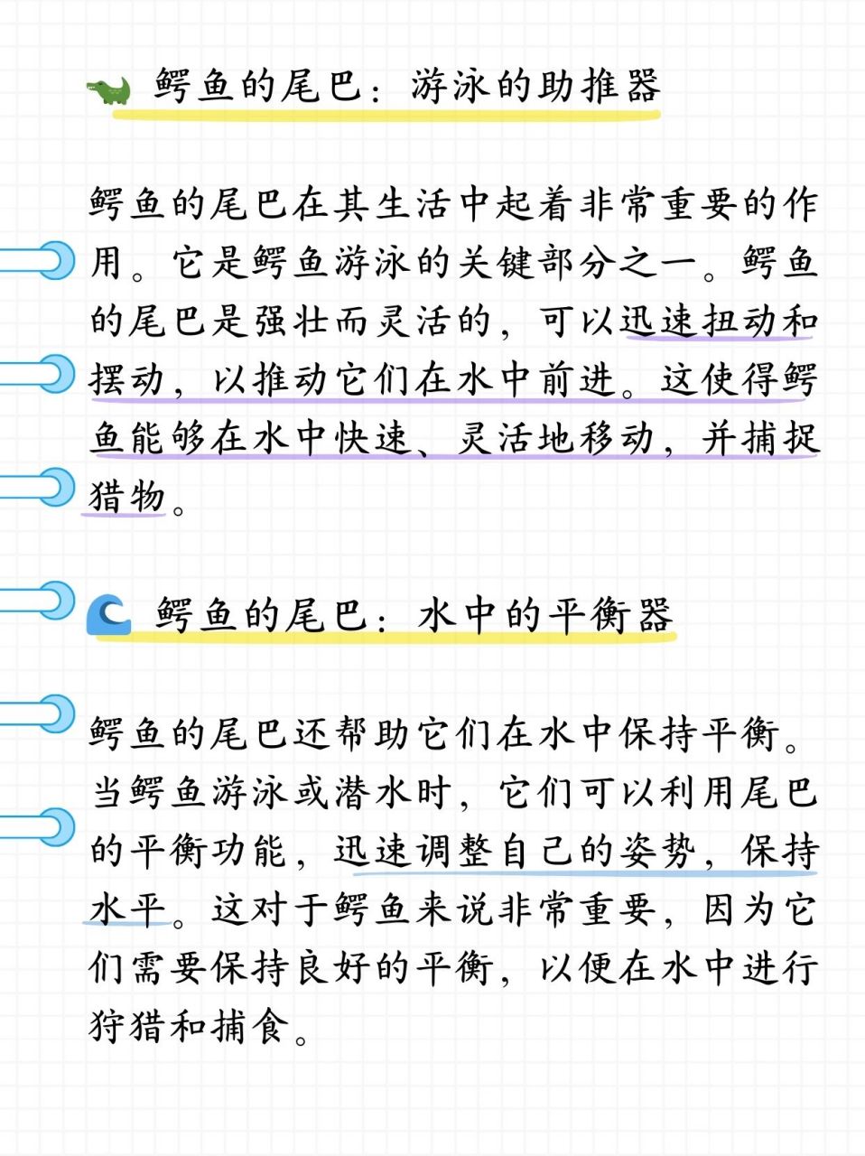 鳄鱼的尾巴有什么作用  昨天带儿子去动物园游玩,儿子看到鳄鱼的时候