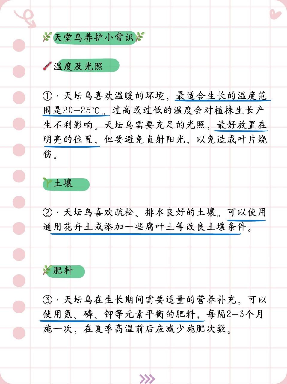 91天堂鸟养护小常识91