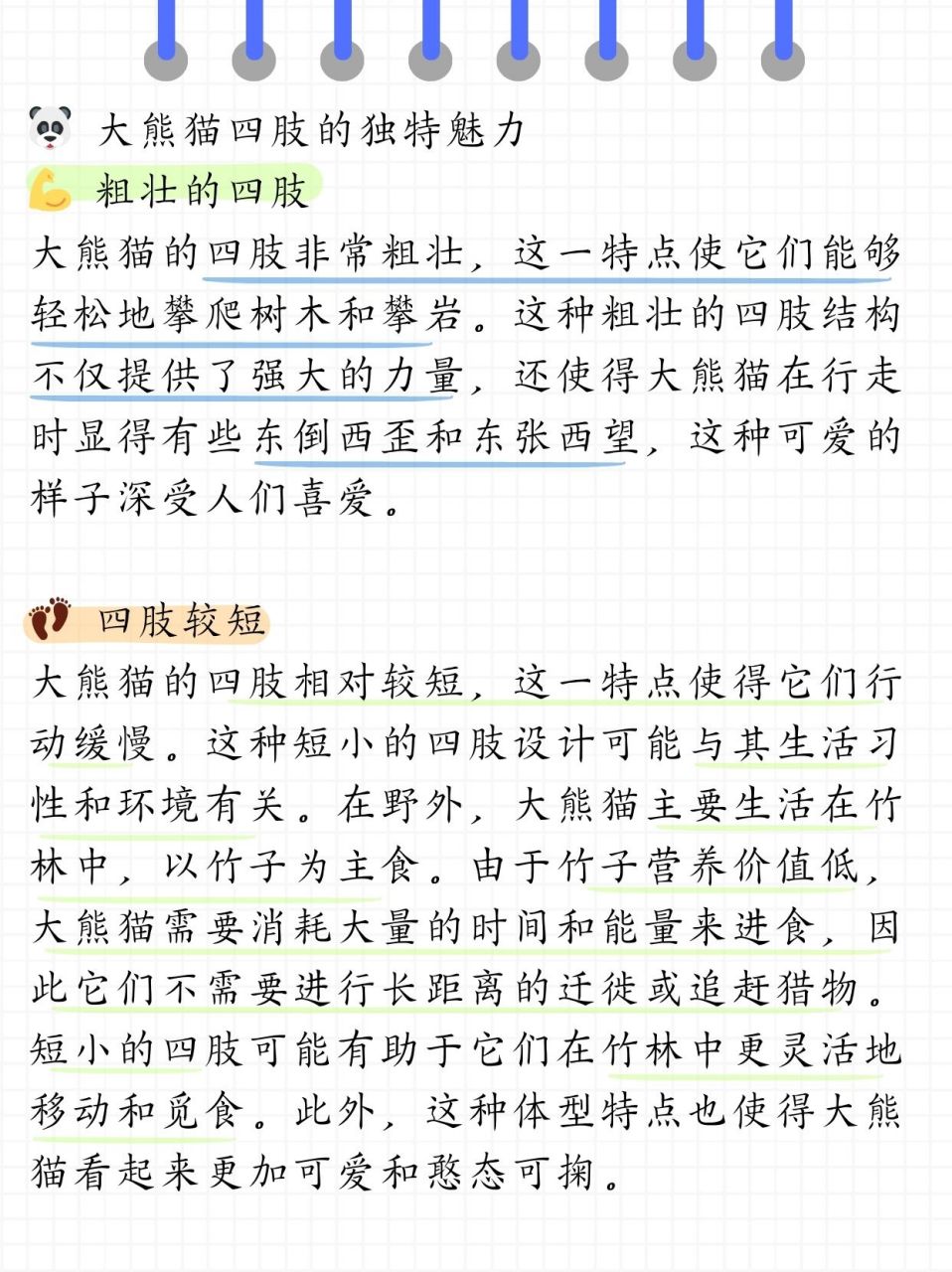 大熊猫的四肢有什么特点  过段时间去四川动物园看熊猫,我只知道熊猫