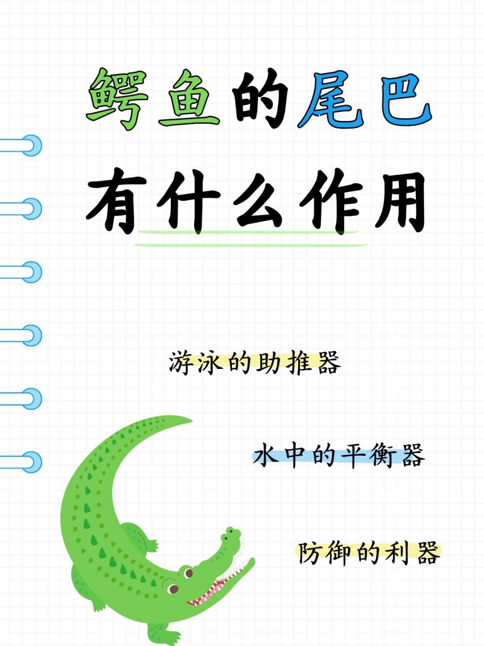 鳄鱼的尾巴有什么作用  昨天带儿子去动物园游玩,儿子看到鳄鱼的时候