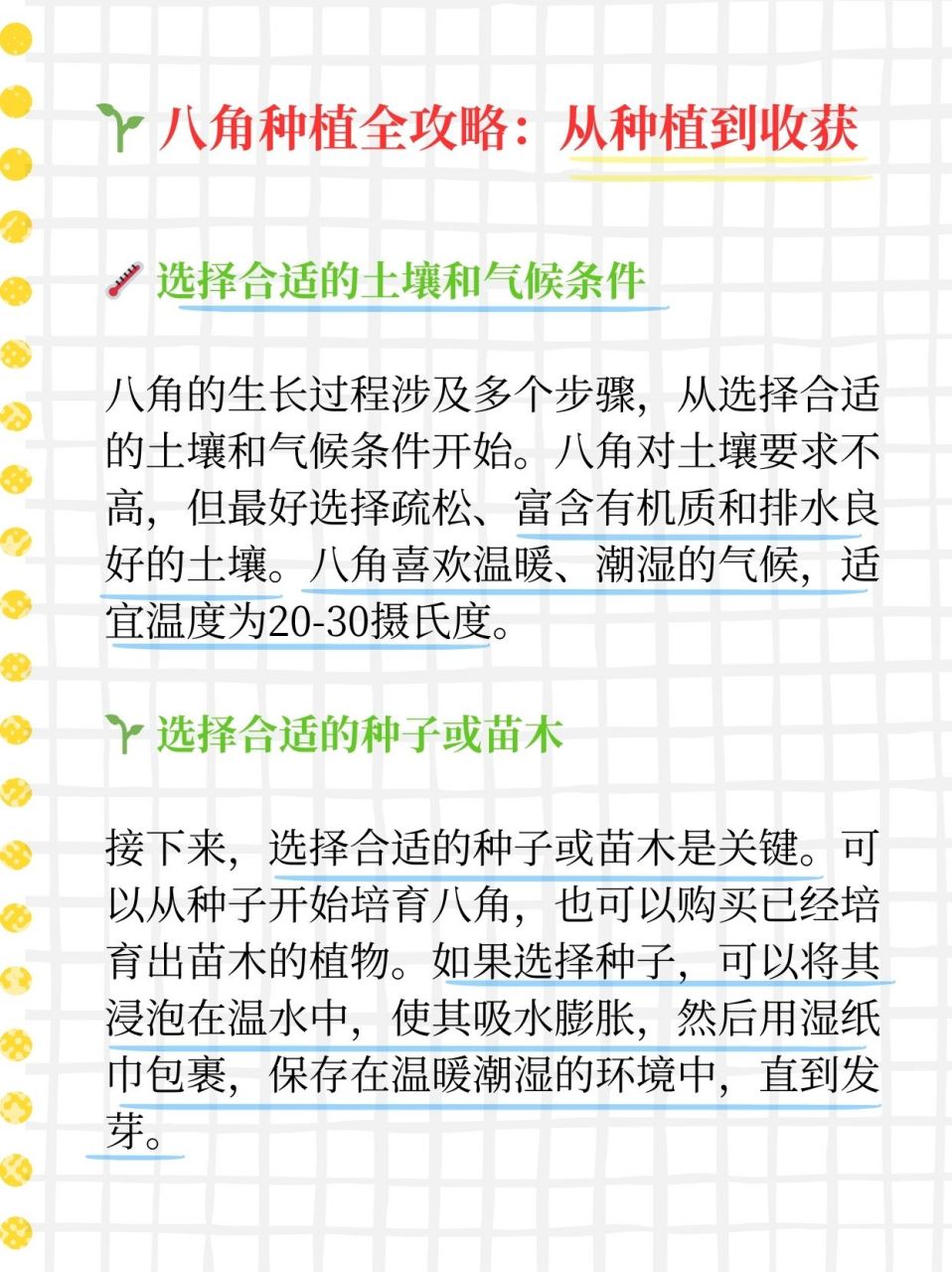 八角是怎么生长出来的  身为一个南方人,但一直不知道八角到底是长在