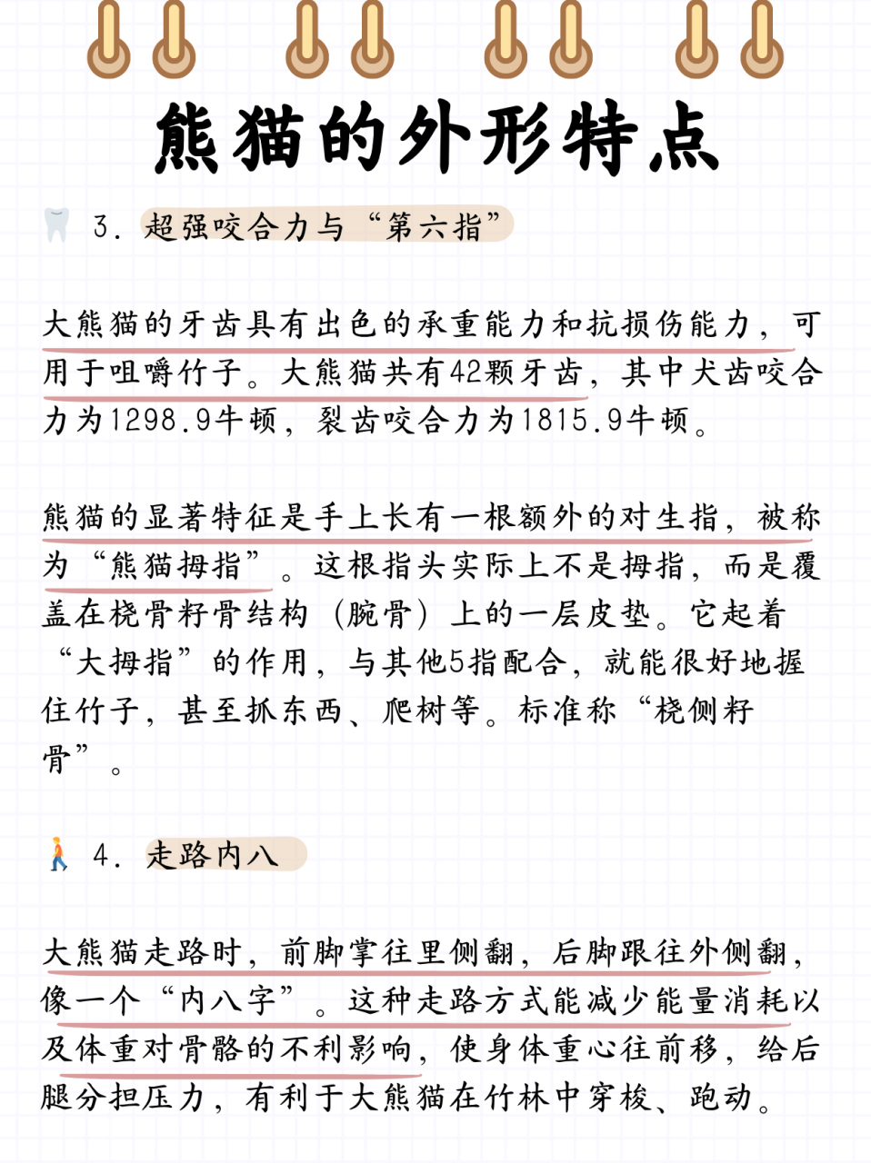 熊猫的外形特点  前段时间刚刚一家人去了秦岭动物园,看了国宝大熊猫