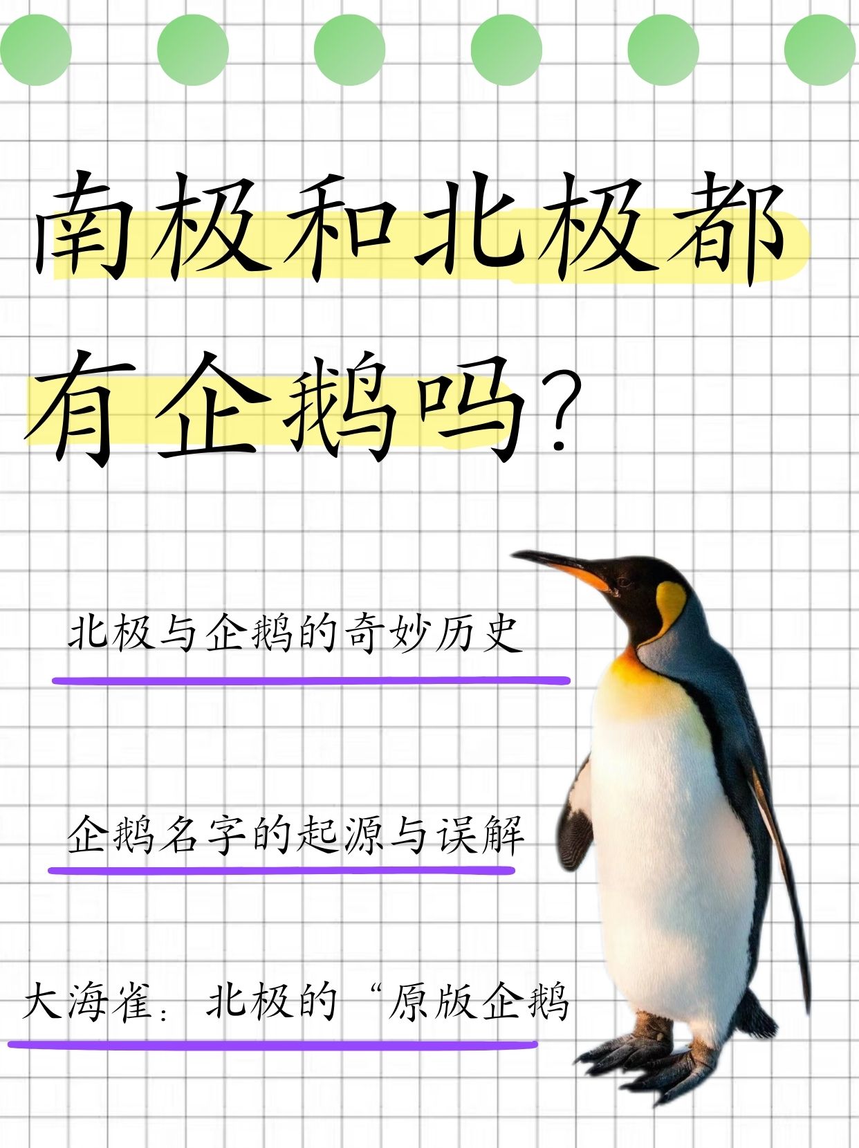 为什么北极没有企鹅
