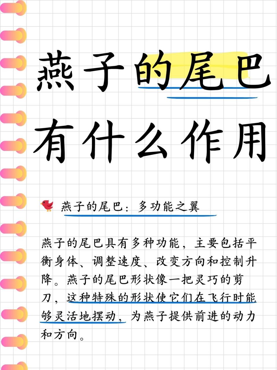 燕子的尾巴有什么作用图片