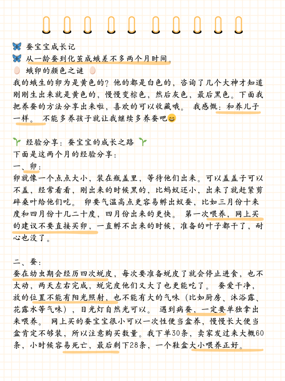 蚕蛾怎么养图片