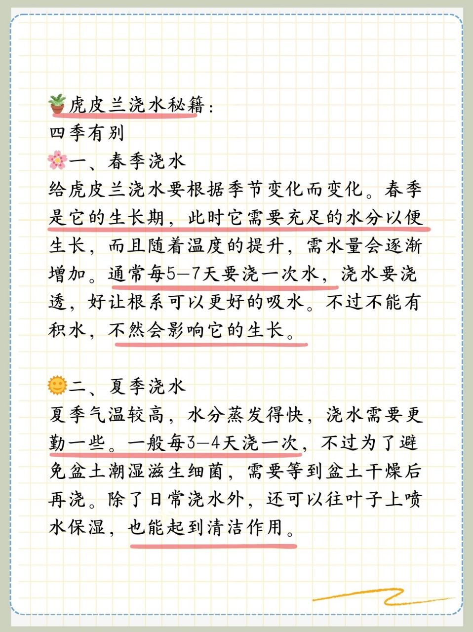 虎皮兰的描写图片