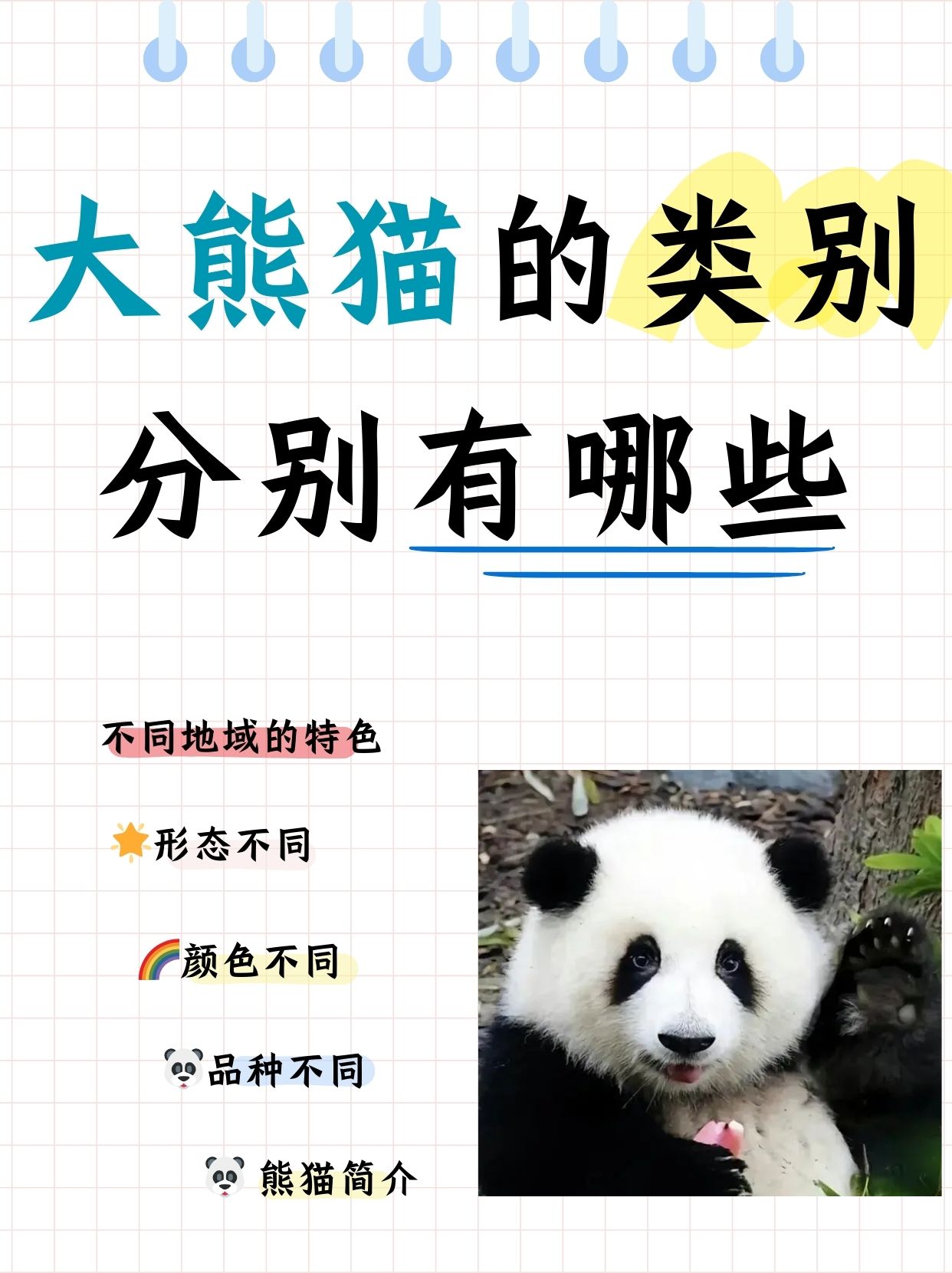 熊猫为什么被称为国宝20字解答为什么在线 熊猫为什么被称为国宝20字解答为什么在线