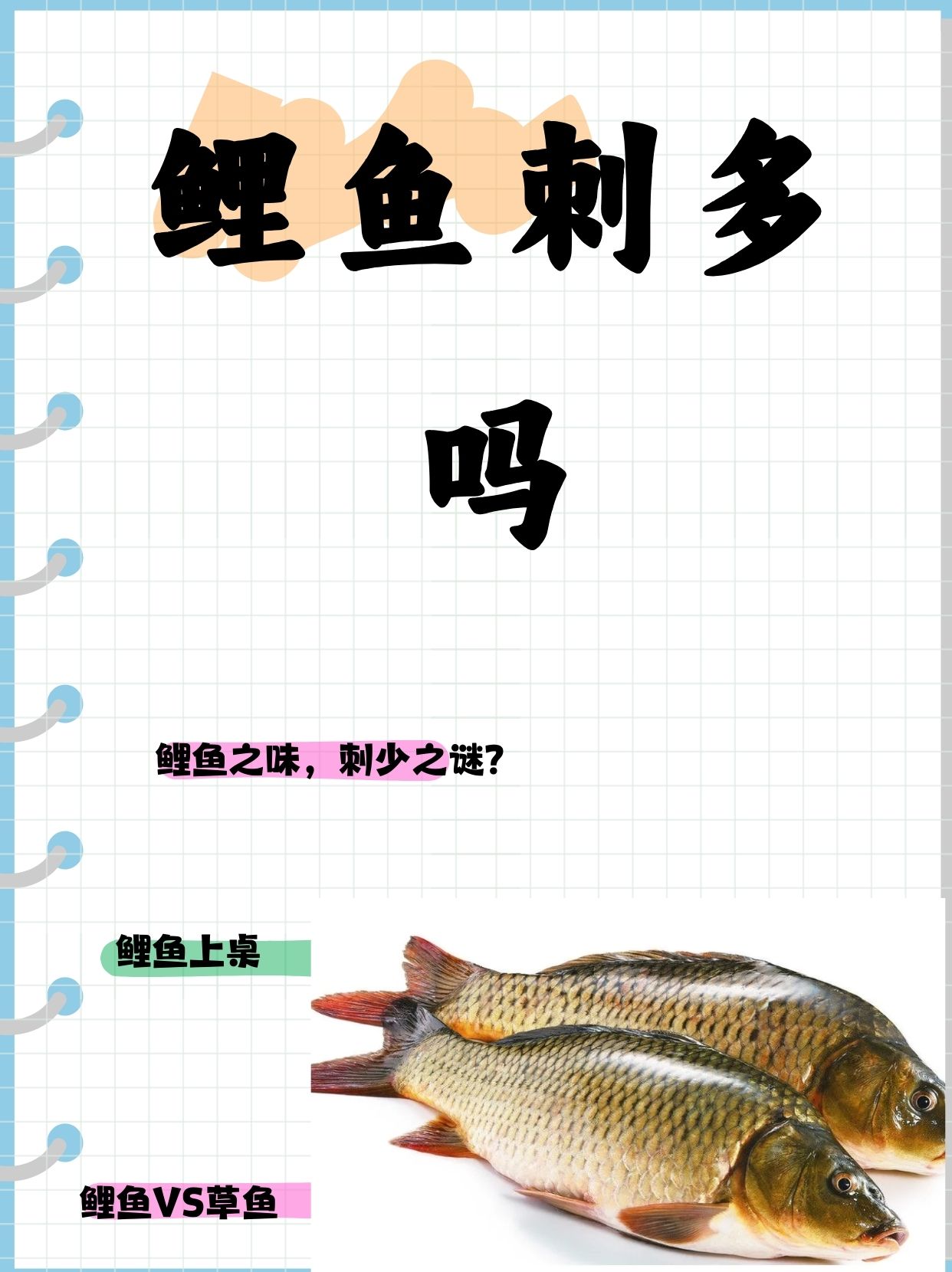鲤鱼刺多吗  鲤鱼作为一种常见的淡水鱼类,其肉质细嫩且营养丰富,深受