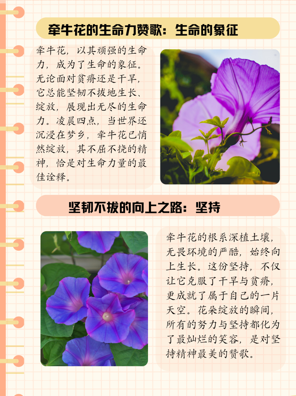 裸子植物有花和果实吗  裸子植物是没有花和果实但有种子,因为它的