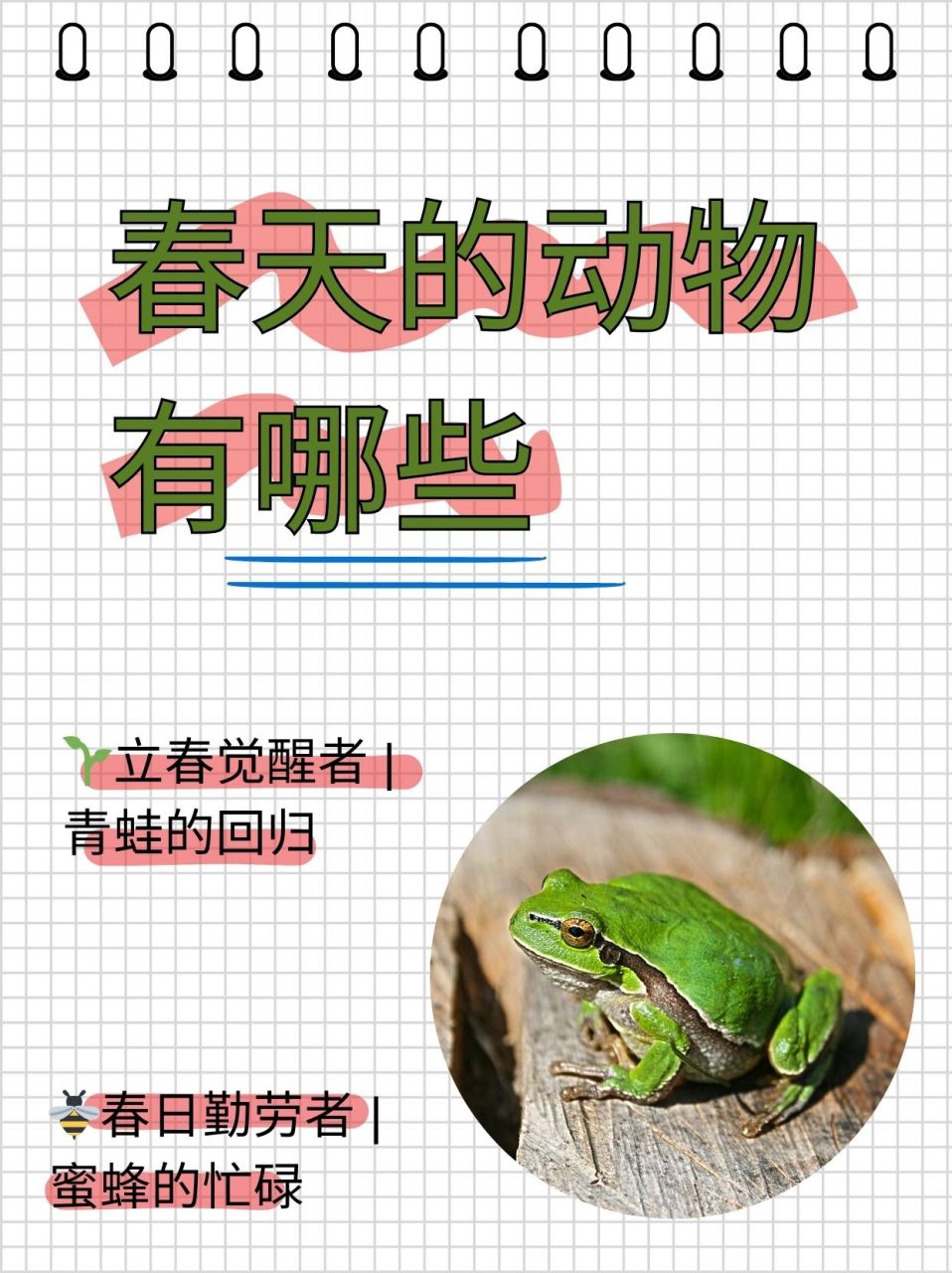 春天的动物有哪些  立春到,是谁在这天醒来?