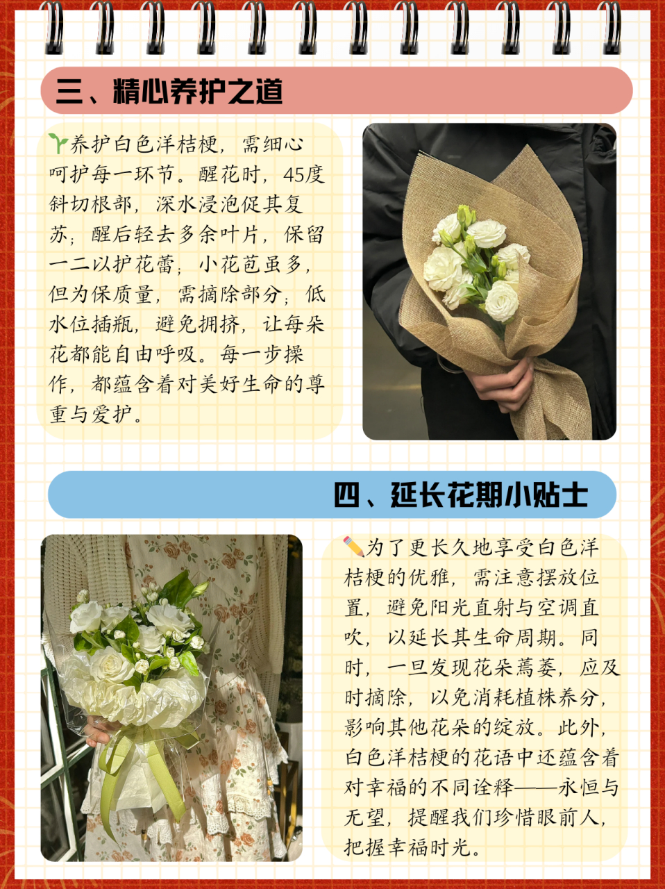 白桔梗花语的意思  它的花语是永恒的爱,无望的爱,无悔的爱等.