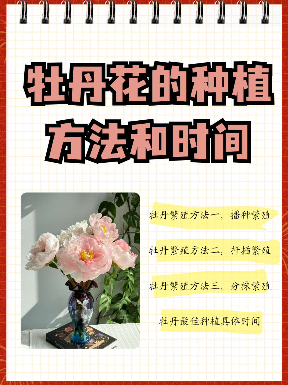 牡丹花种植方法图片