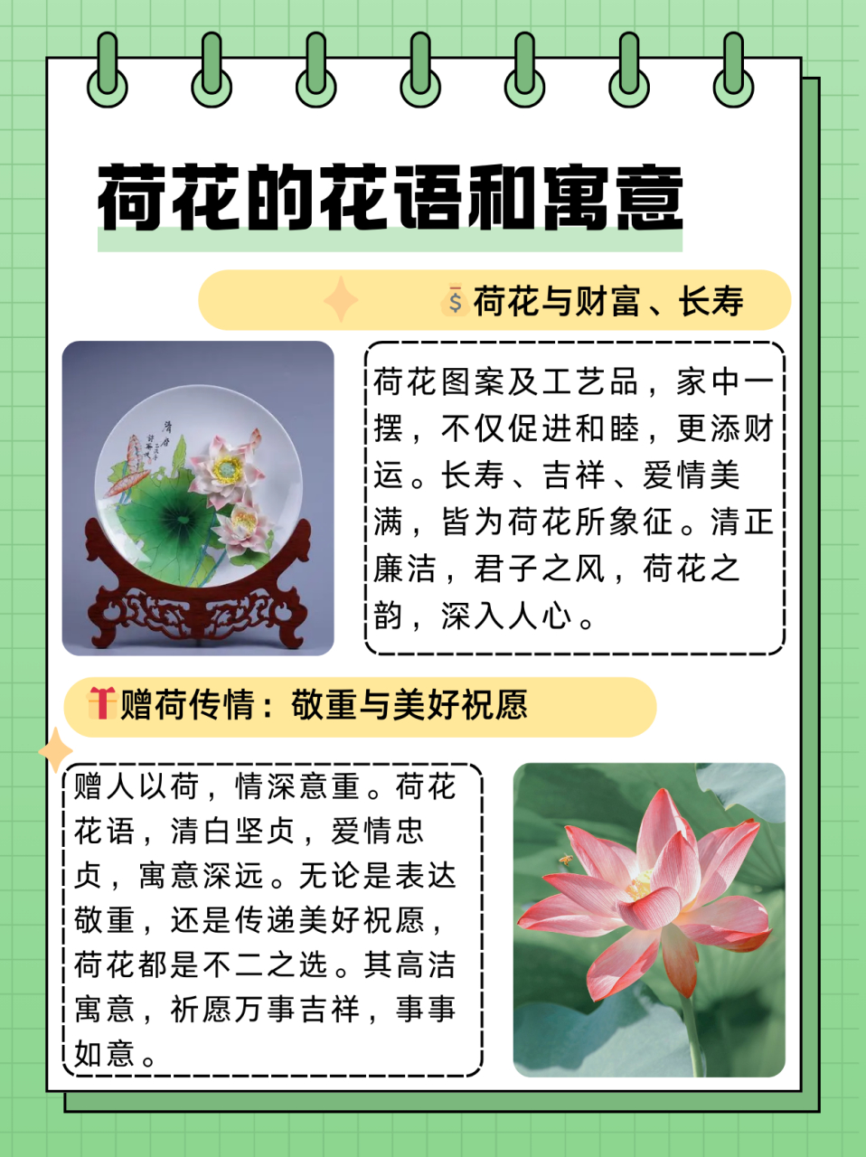 荷花的花语和寓意  荷花98在中国文化中具有深厚象征的意义寓意纯洁