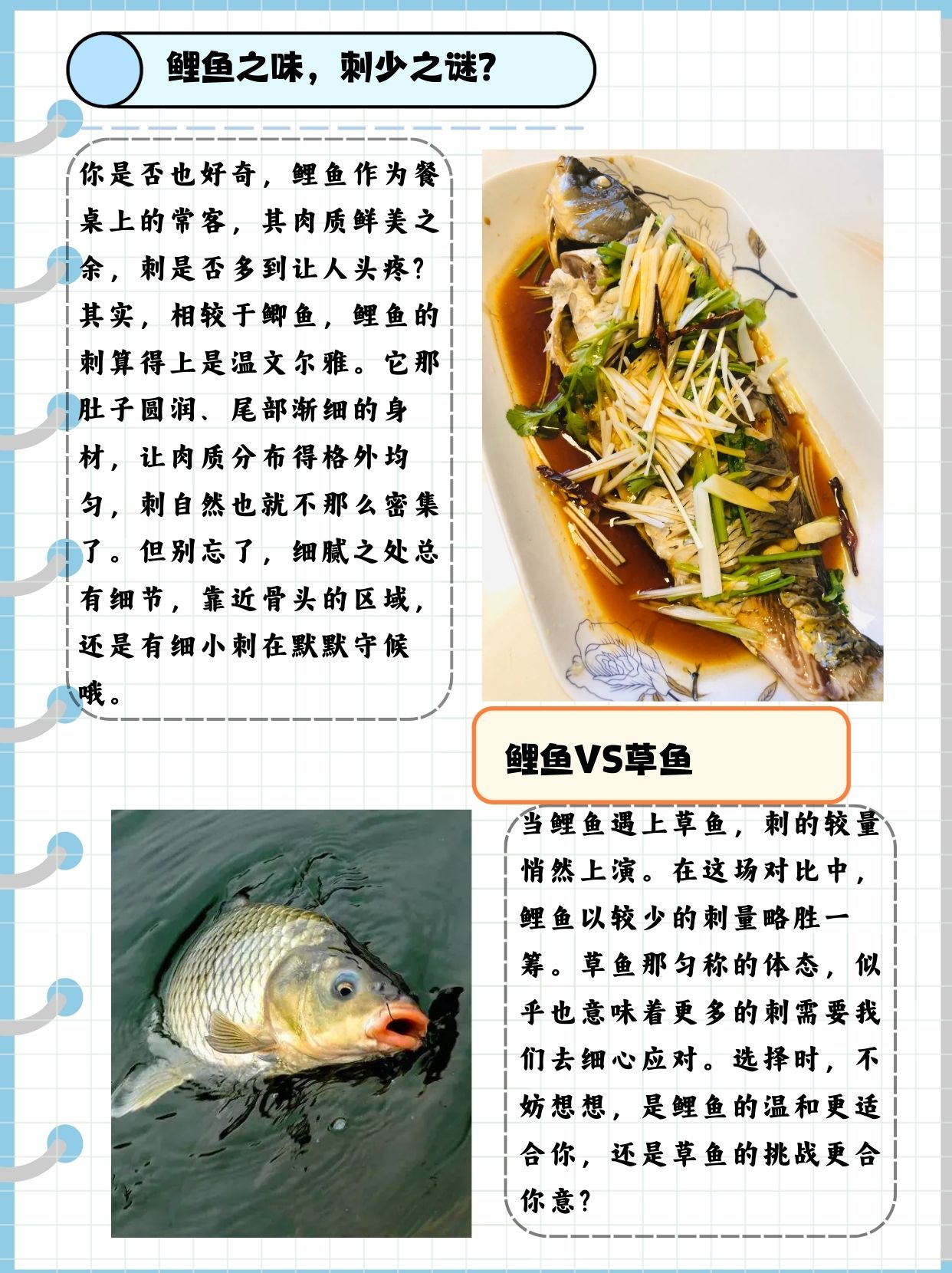 鲤鱼刺多吗  鲤鱼作为一种常见的淡水鱼类,其肉质细嫩且营养丰富,深受