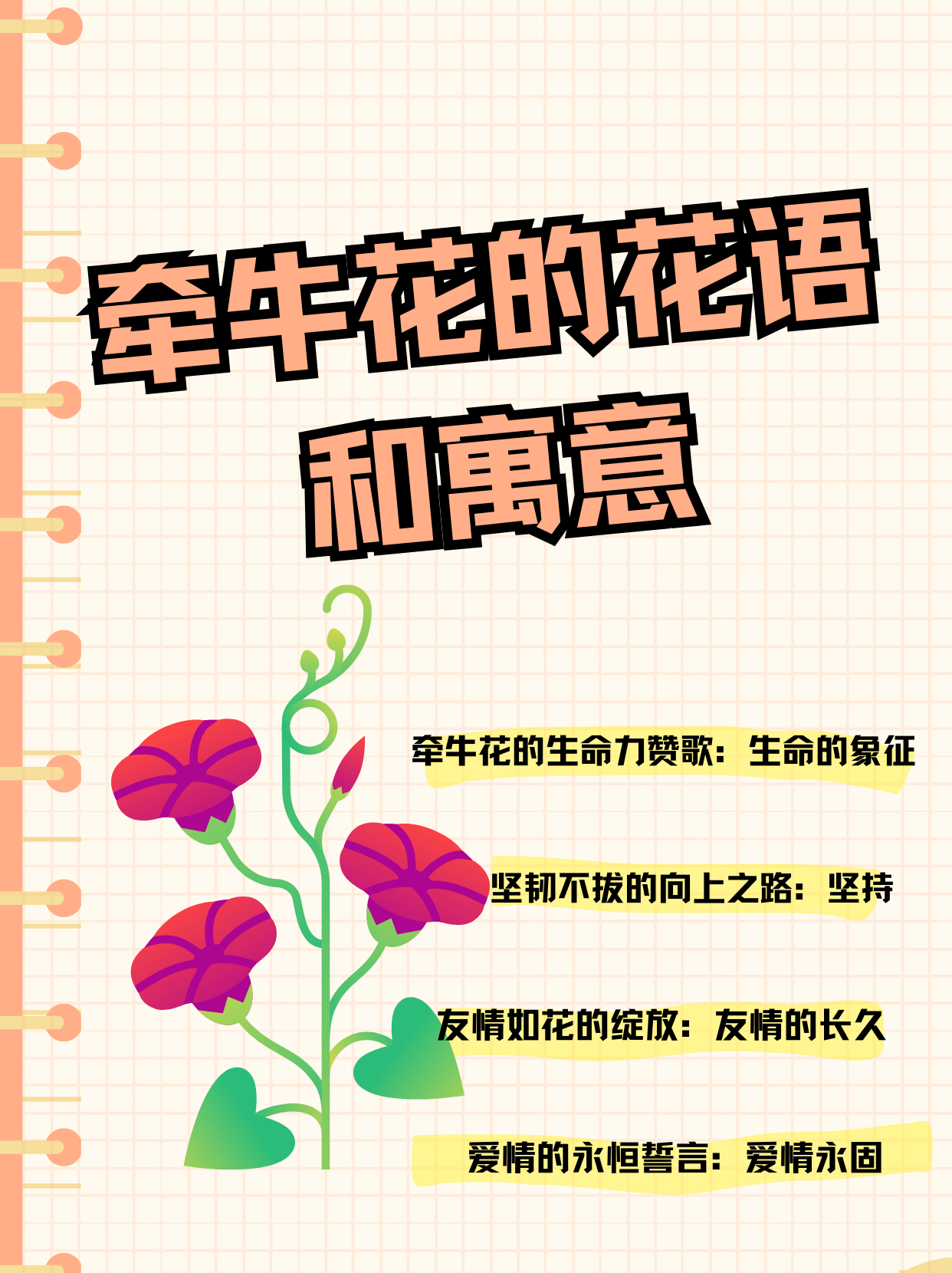 牵牛花的花语  1,生命的象征 牵牛花的花语是生命的象征.