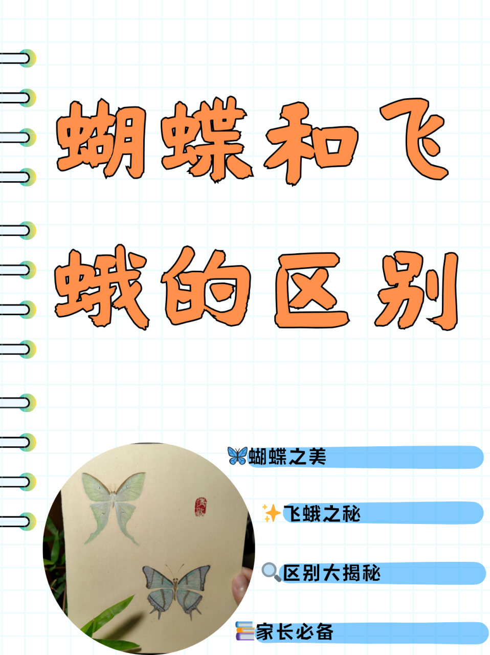 蝴蝶和飞蛾的区别  孩子有些分不清蝴蝶和飞蛾,于是我上网搜索整理了
