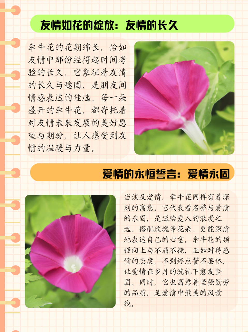 裸子植物有花和果实吗  裸子植物是没有花和果实但有种子,因为它的