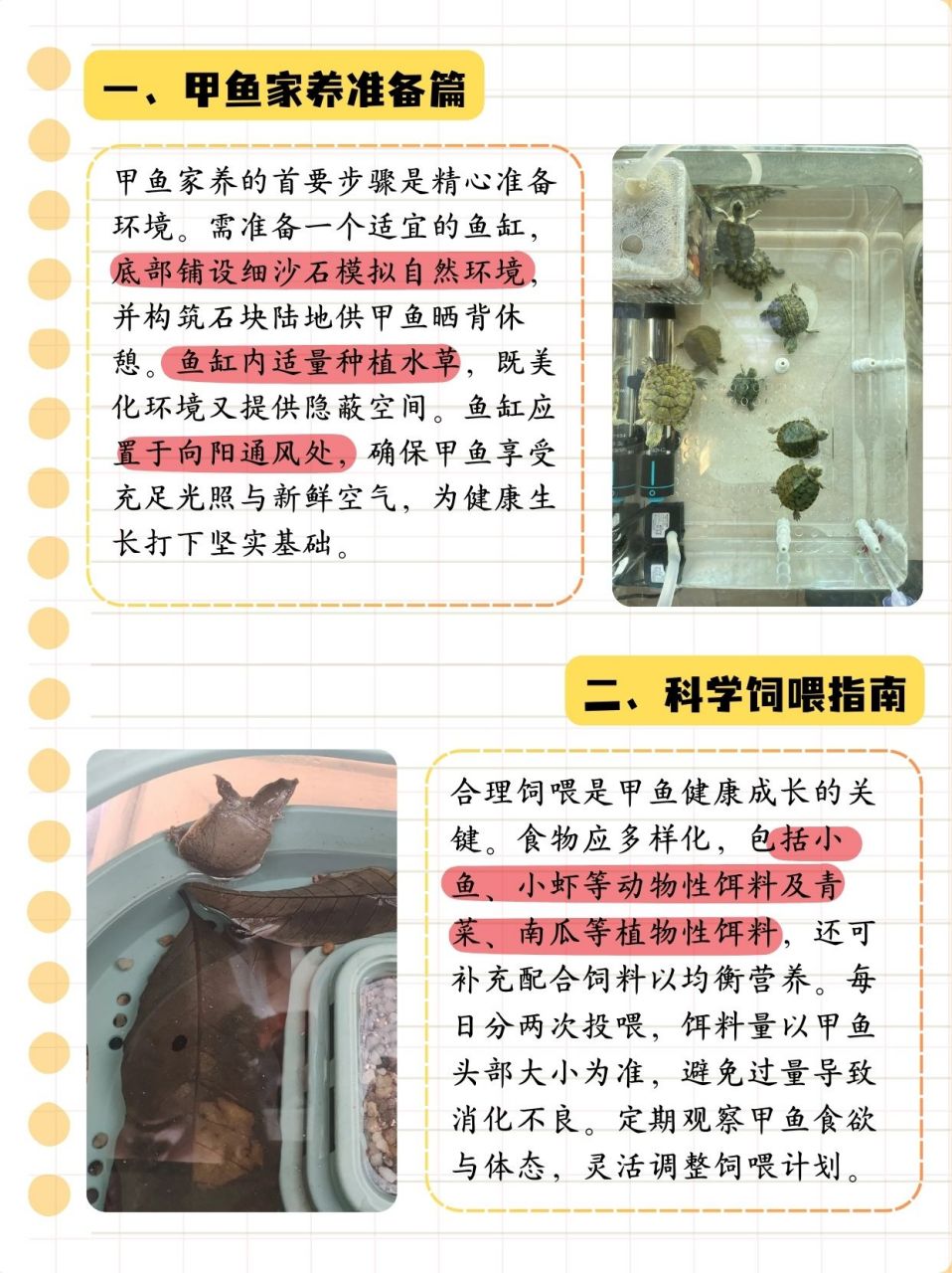 甲鱼吃什么食物怎么养  今天在地摊套圈套中了一只甲鱼,但是以前都没