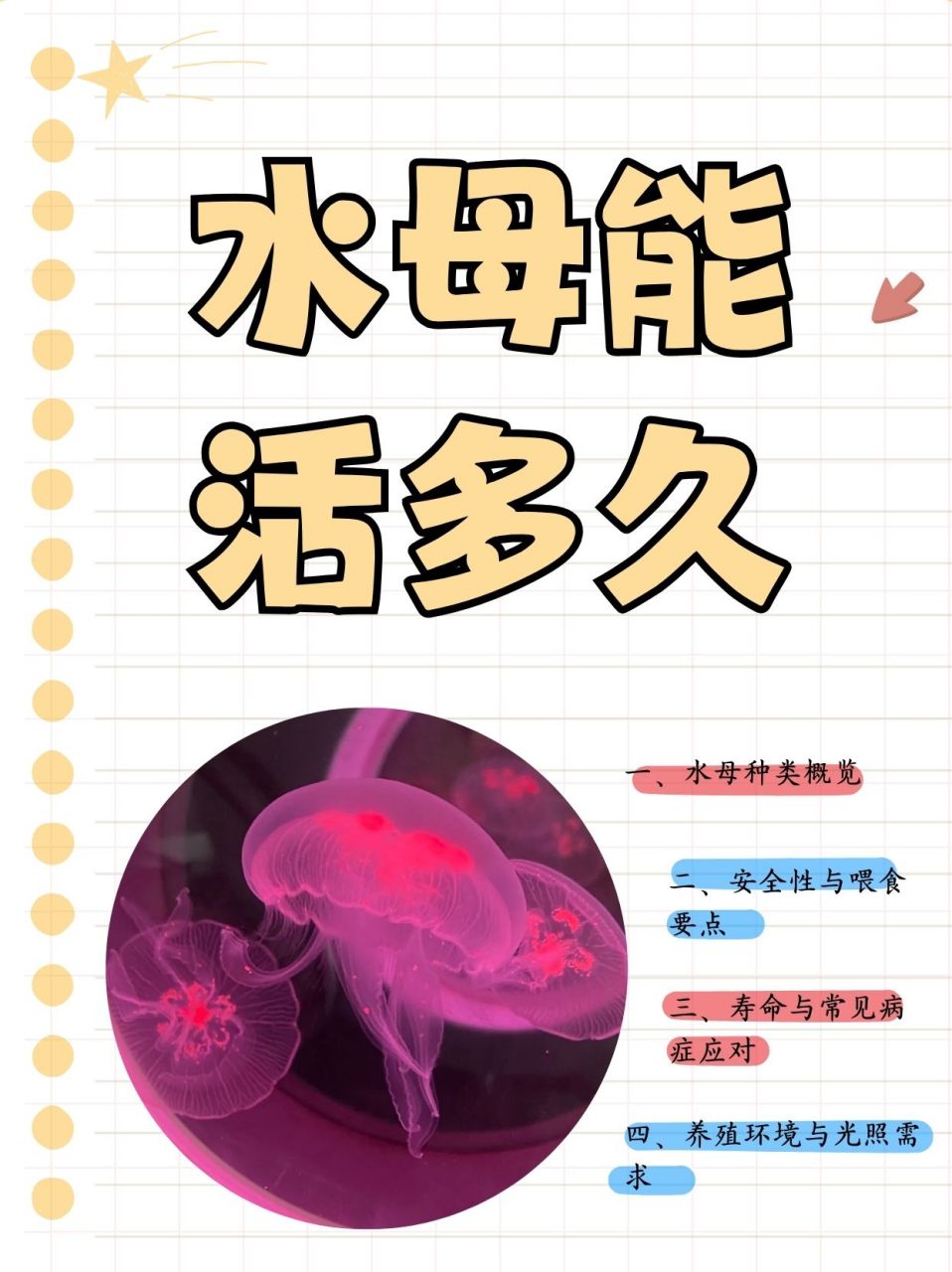 水母能活多久  带儿子去动物园玩的时候拿回来一只,问了老师这种体型