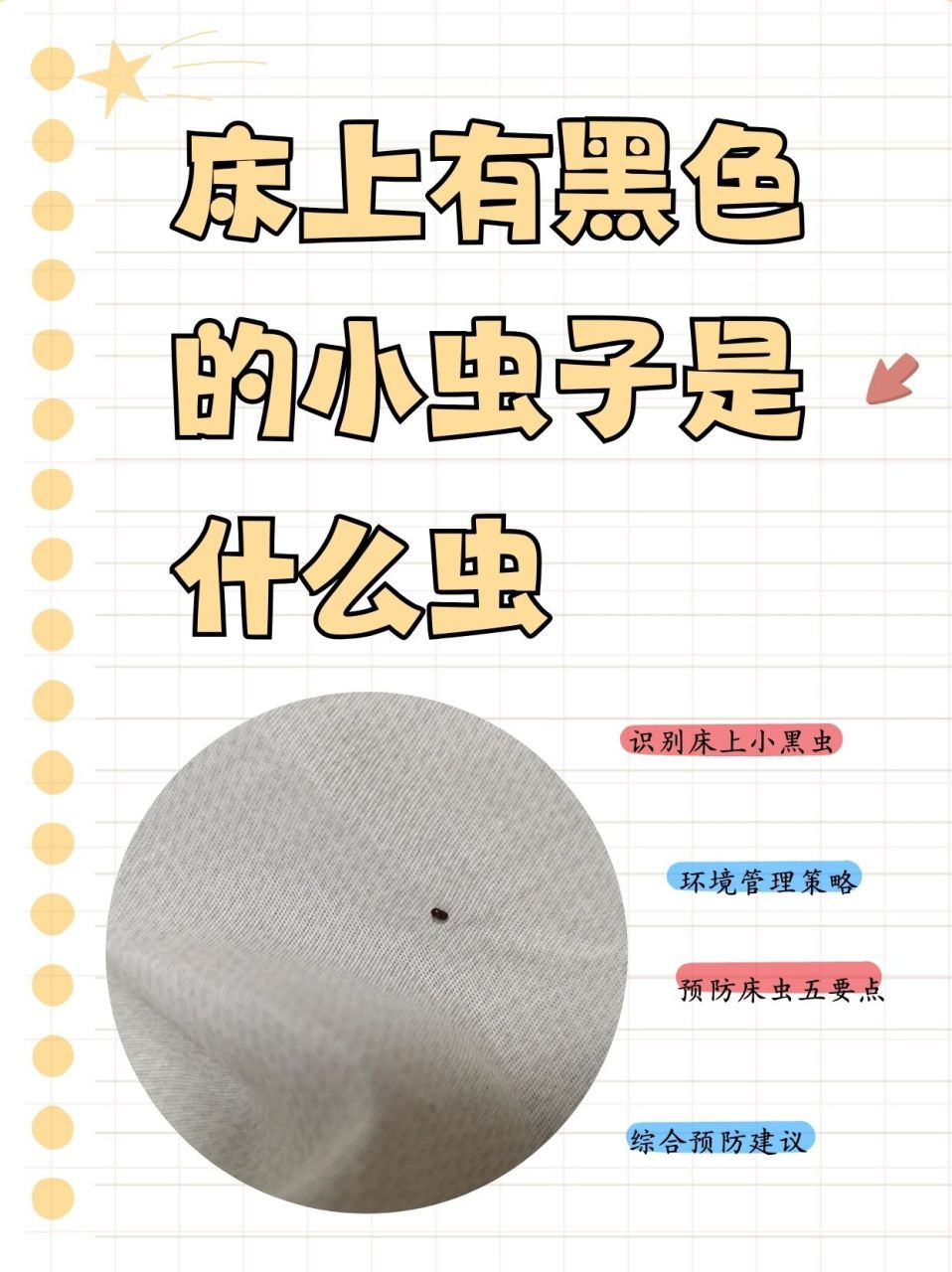 床上出现黑色小虫子可能是跳蚤,床虱,螨虫或臭虫等.