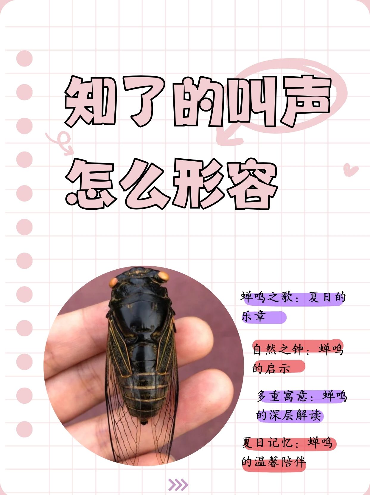 知了的叫声怎么形容  孩子写作文的时候,不知道知了的叫声应该怎么