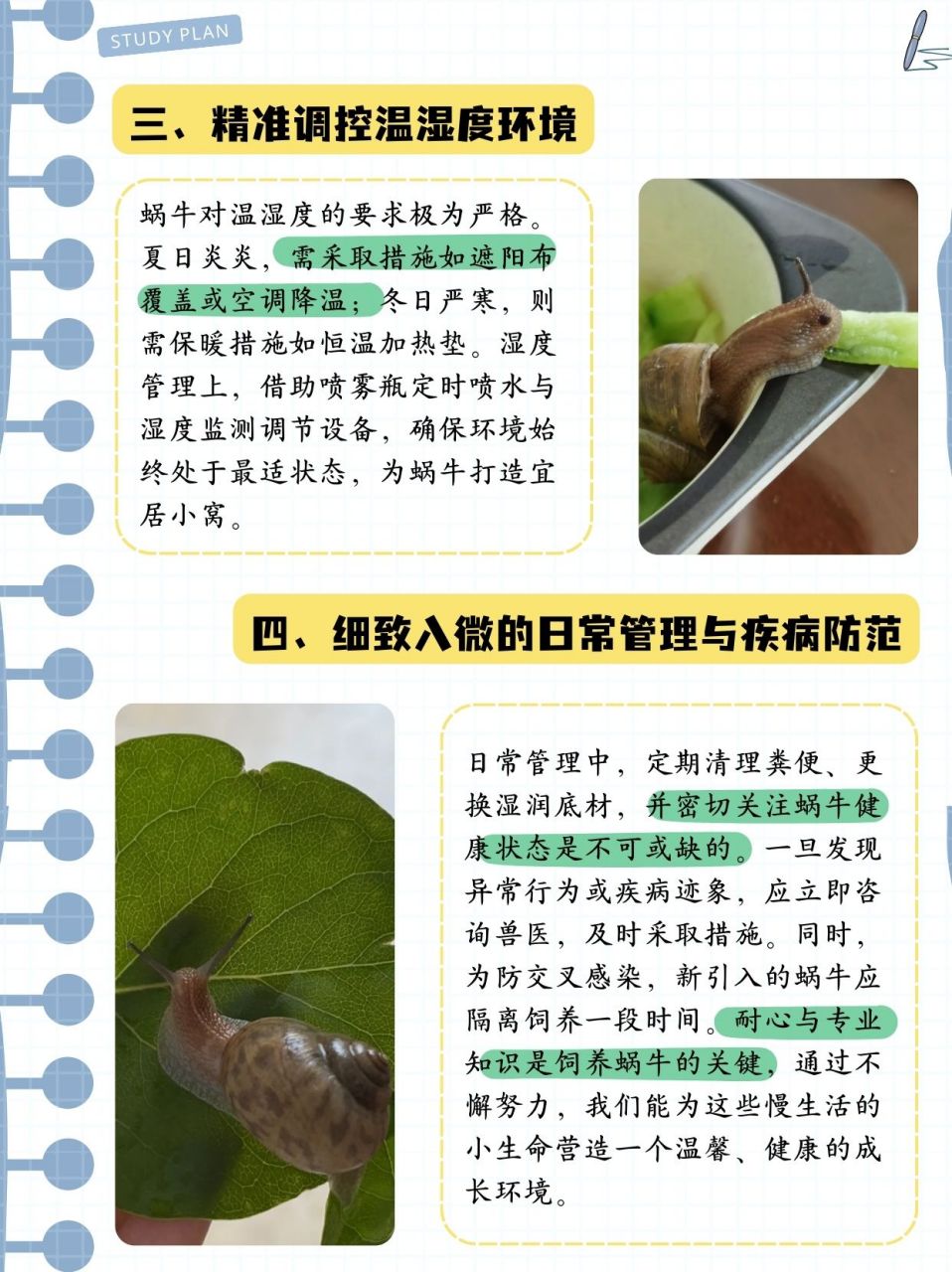 捡来的小蜗牛能养几天  小女儿捡了一只小蜗牛,问我能养几天,我整理了