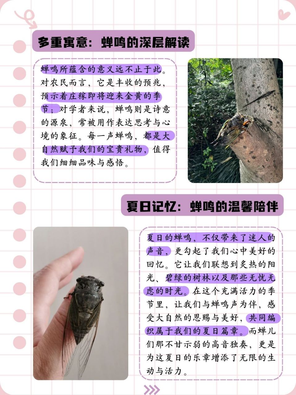 知了的叫声怎么形容  孩子写作文的时候,不知道知了的叫声应该怎么