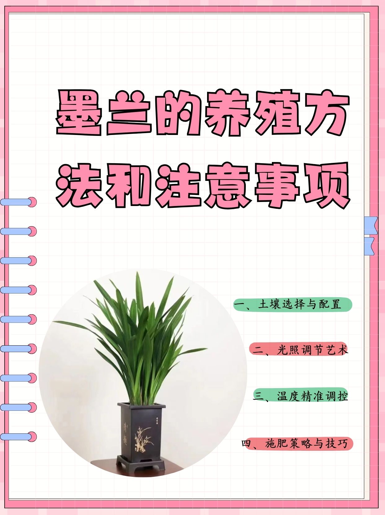 一,墨兰对土壤的要求和其它的兰科植属相似,以富含腐殖质,并呈微