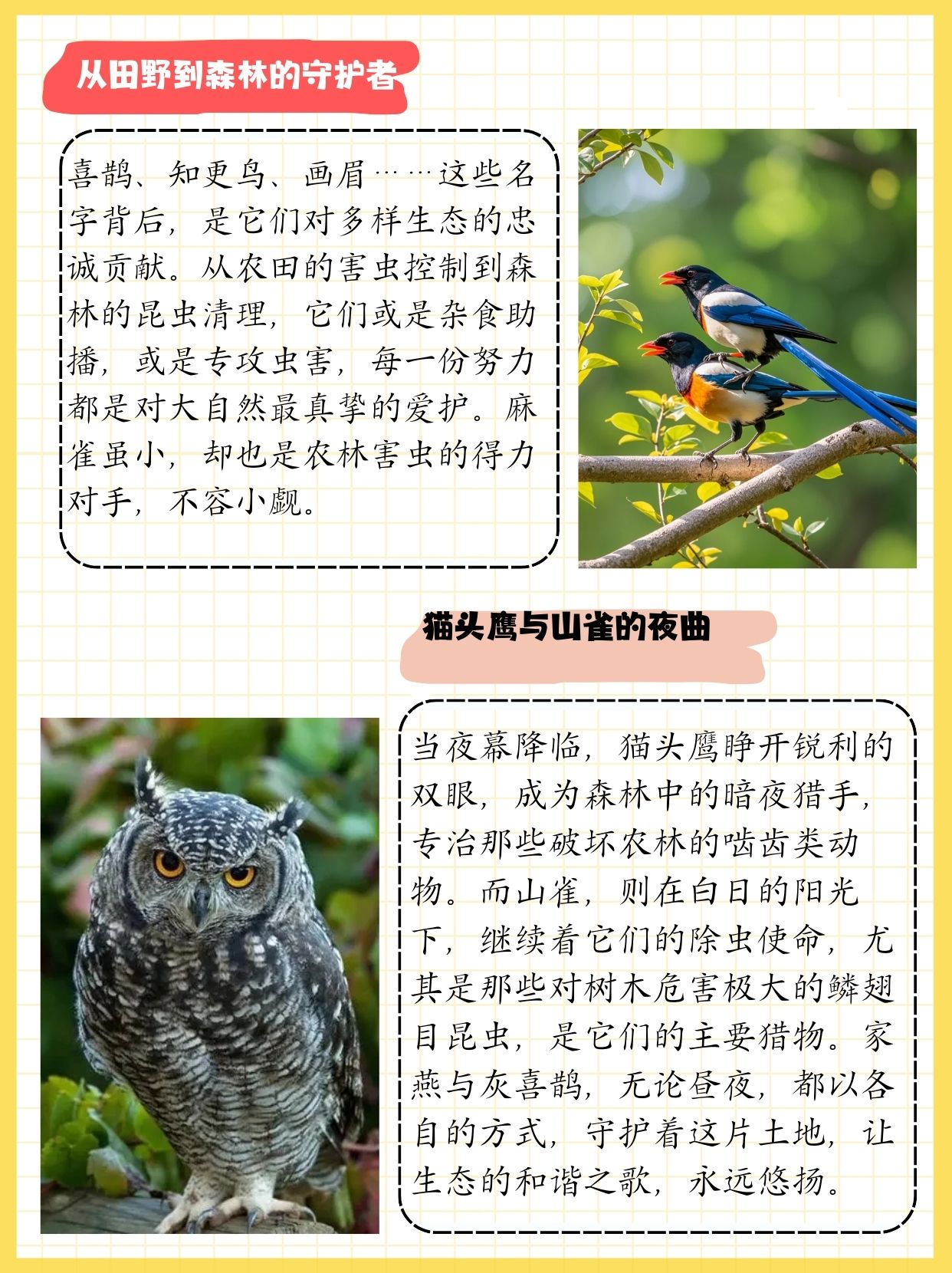常见的益鸟 益鸟是指那些能够捕食害虫,害兽或者对人类有直接或加接
