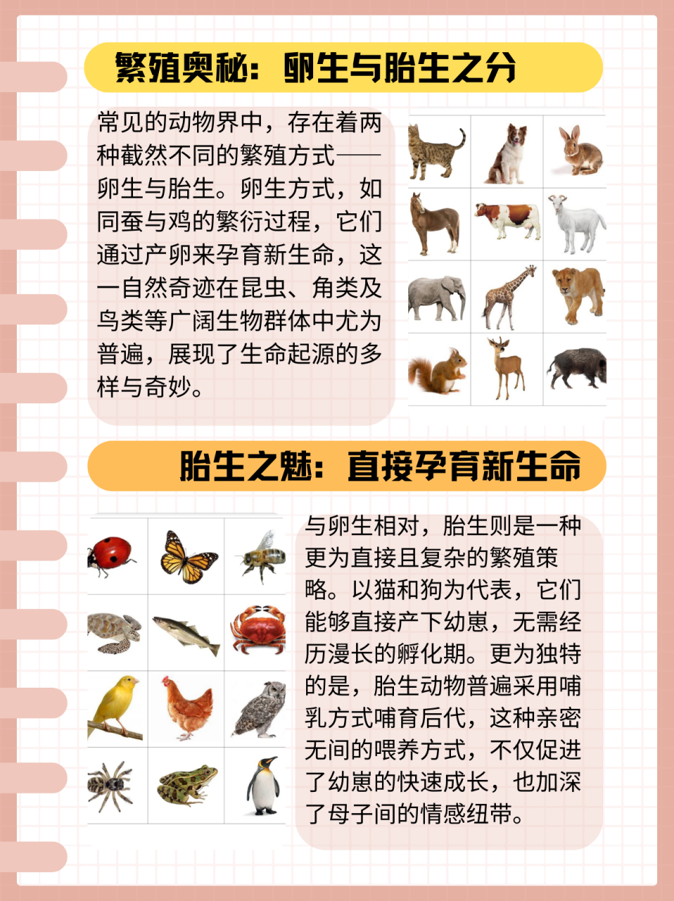 胎生动物和卵生动物的区别  知识科普来啦!还不知道什么是卵生?