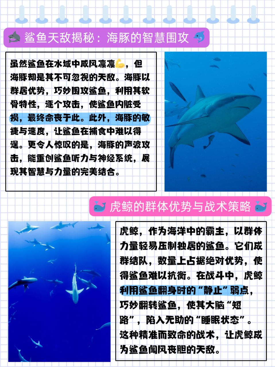鲨鱼怕什么  虽然鲨鱼在水中是比较凶猛的94,但它们也是有天敌的.