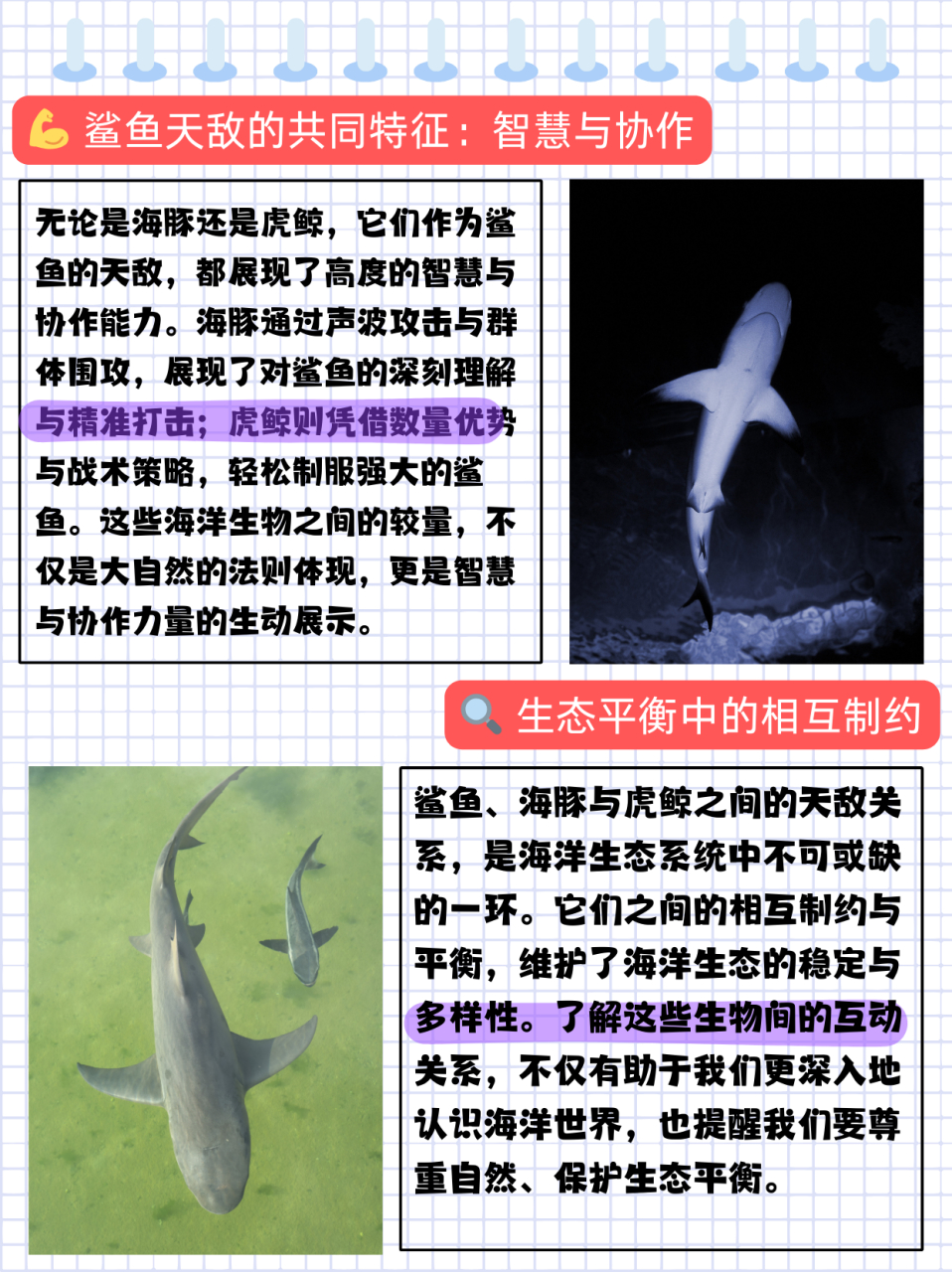 鲨鱼怕什么  虽然鲨鱼在水中是比较凶猛的94,但它们也是有天敌的.