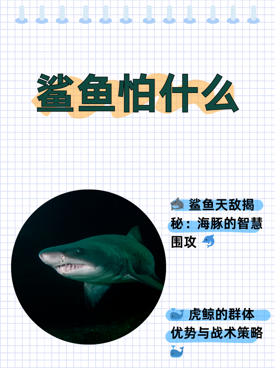 鲨鱼怕什么  虽然鲨鱼在水中是比较凶猛的94,但它们也是有天敌的.