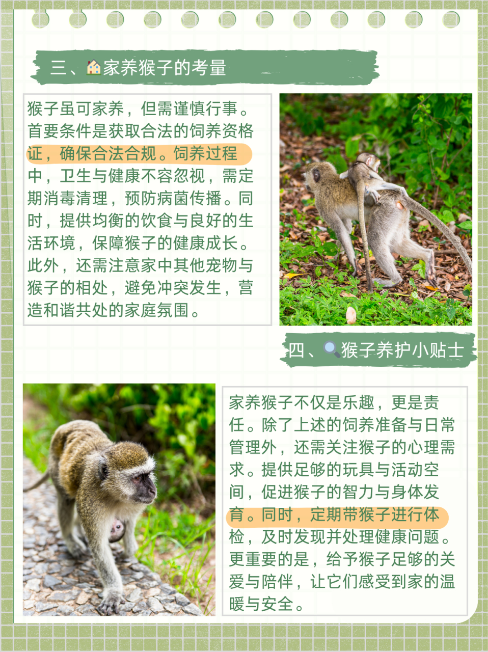 小猴子的尾巴有什么作用  一,猴子的尾巴有什么作用?